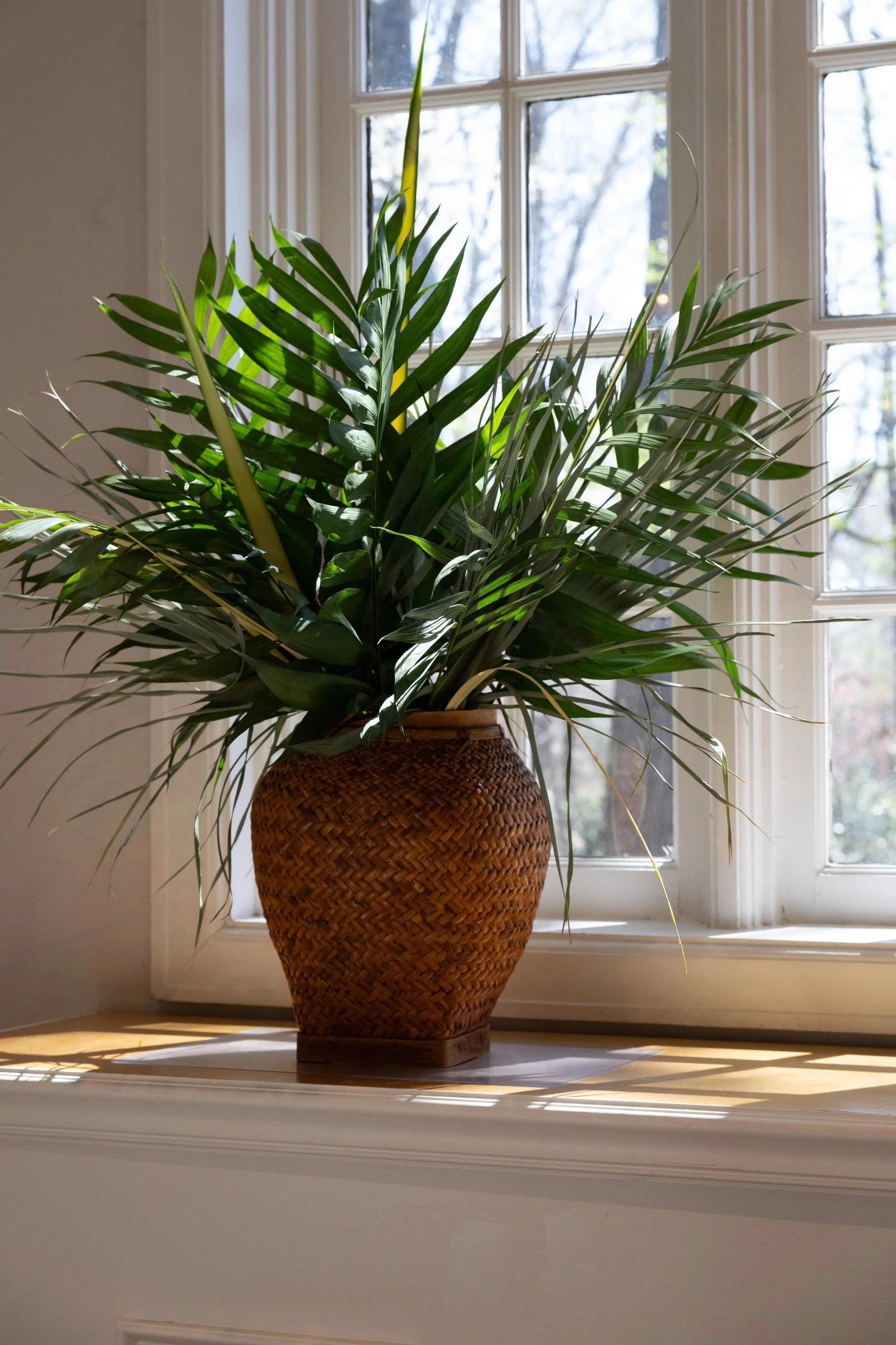 2026 03 29 Palm Sunday St. Peter_s  132.jpg