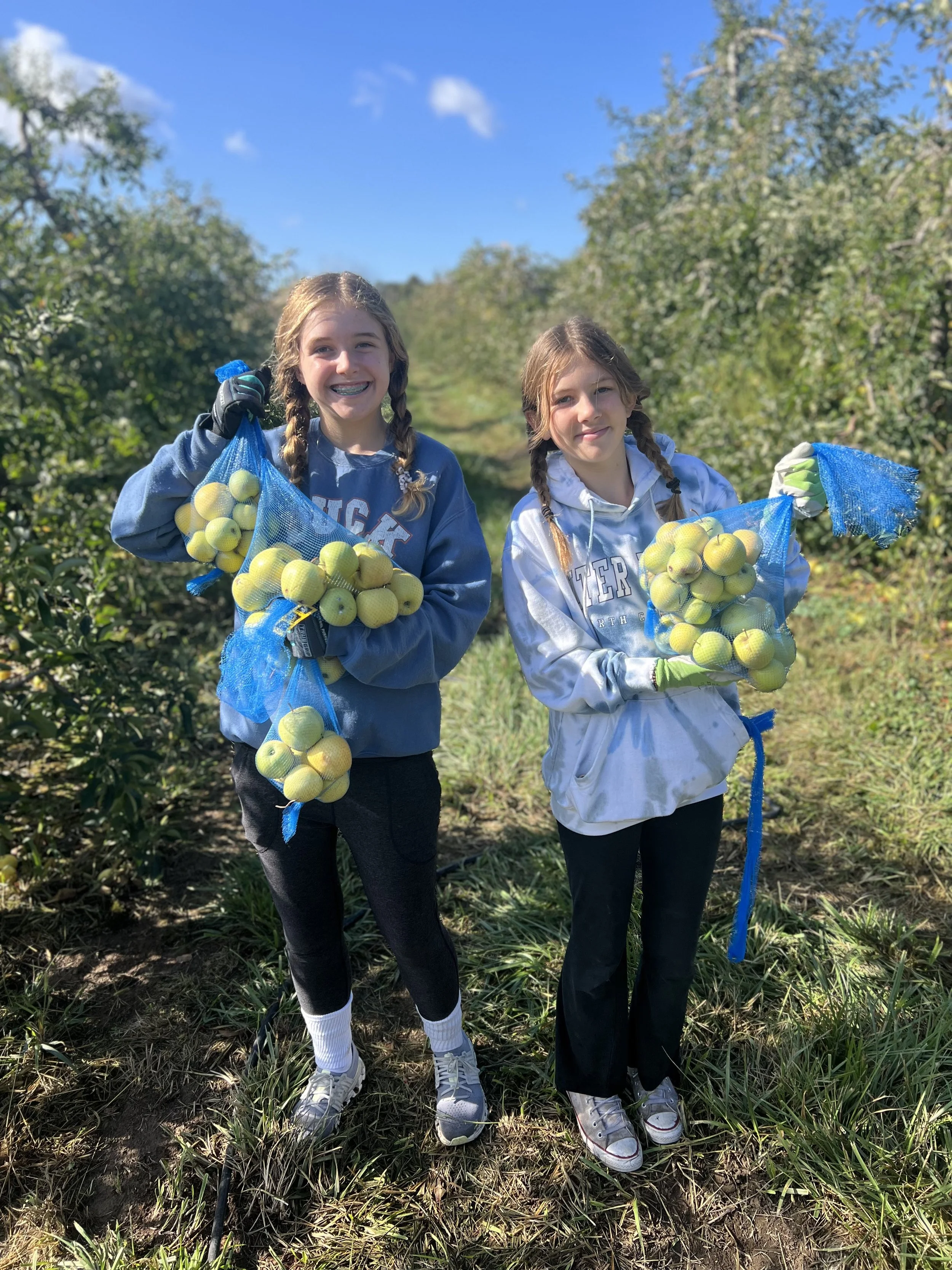 Two young girls with braided hair smiling and holding mesh bags filled with yellow-green apples in an orchard on a sunny day.