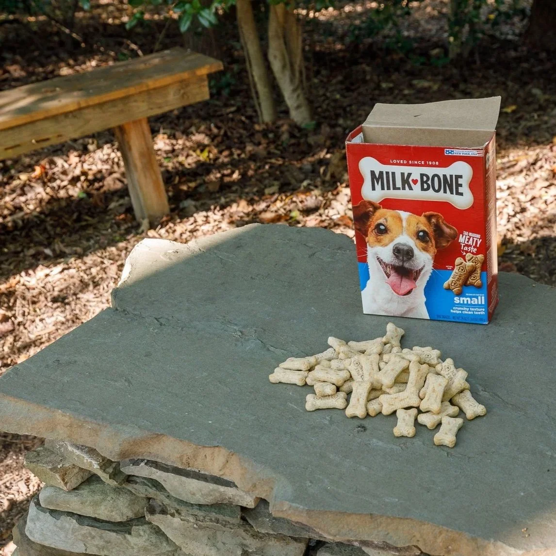 A bag of Milk Bone dog treats, some treats shaped like bones, and a small red, white, and blue box with a dog's face on it are placed on a flat stone surface outdoors, with trees and a wooden bench in the background.