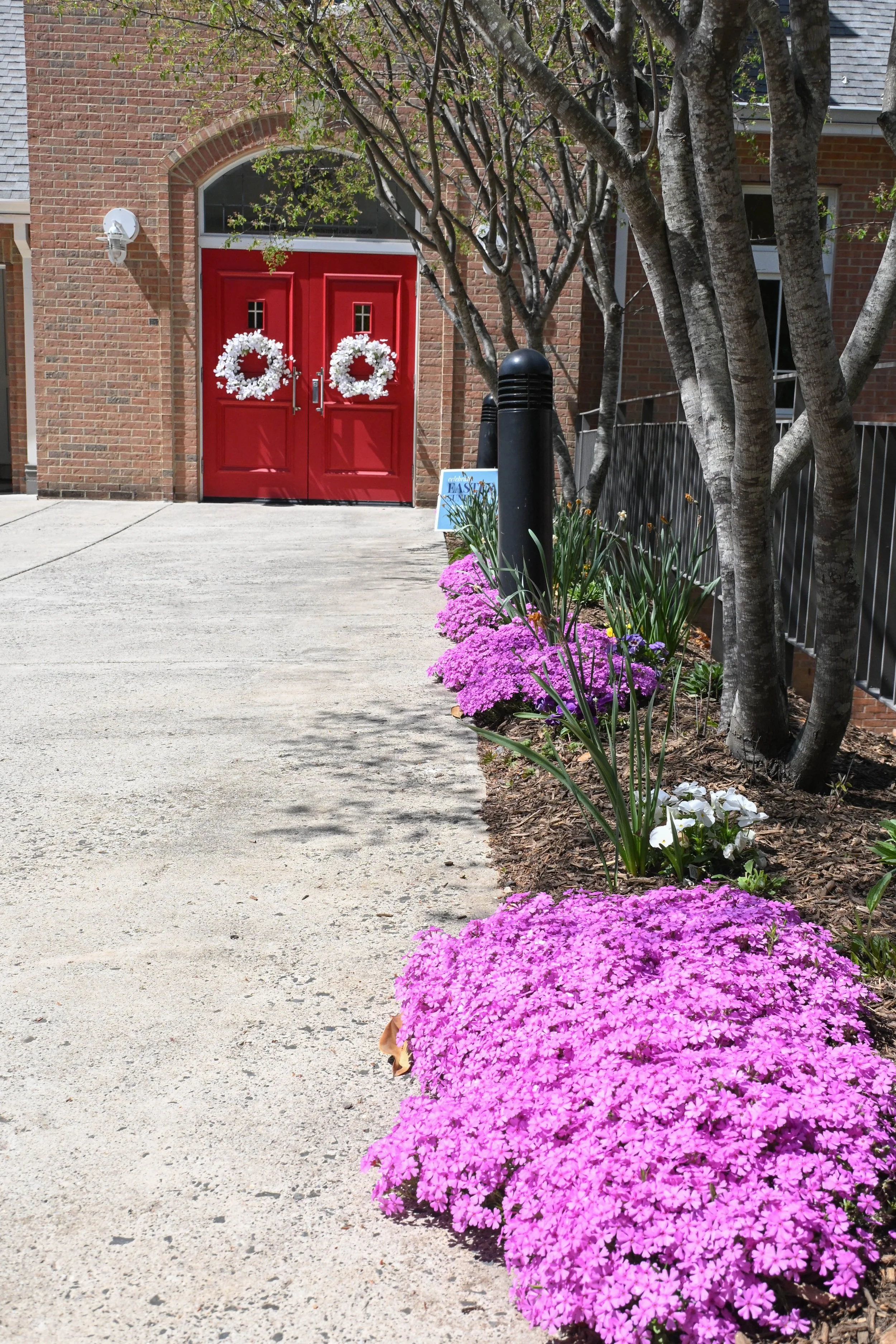 Red double doors with small window panels and white decorative wreaths, brick building, flowering plants and trees on sidewalk in spring.