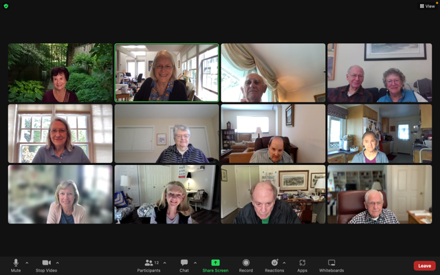 A virtual video call with 12 participants, mostly older adults, in various home settings.