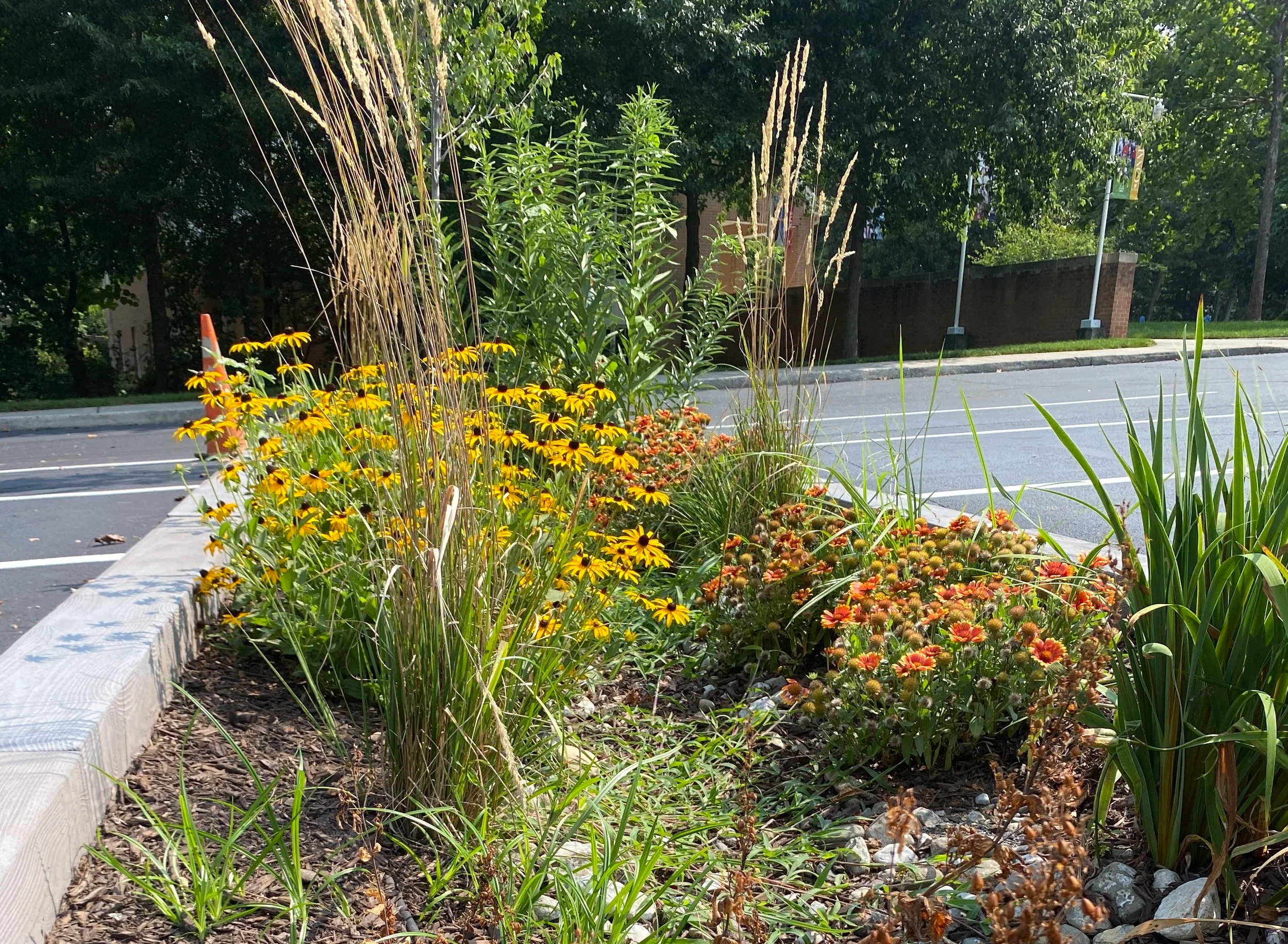 A landscaped area with a variety of flowers and plants beside a paved parking lot, with trees and a brick wall in the background.