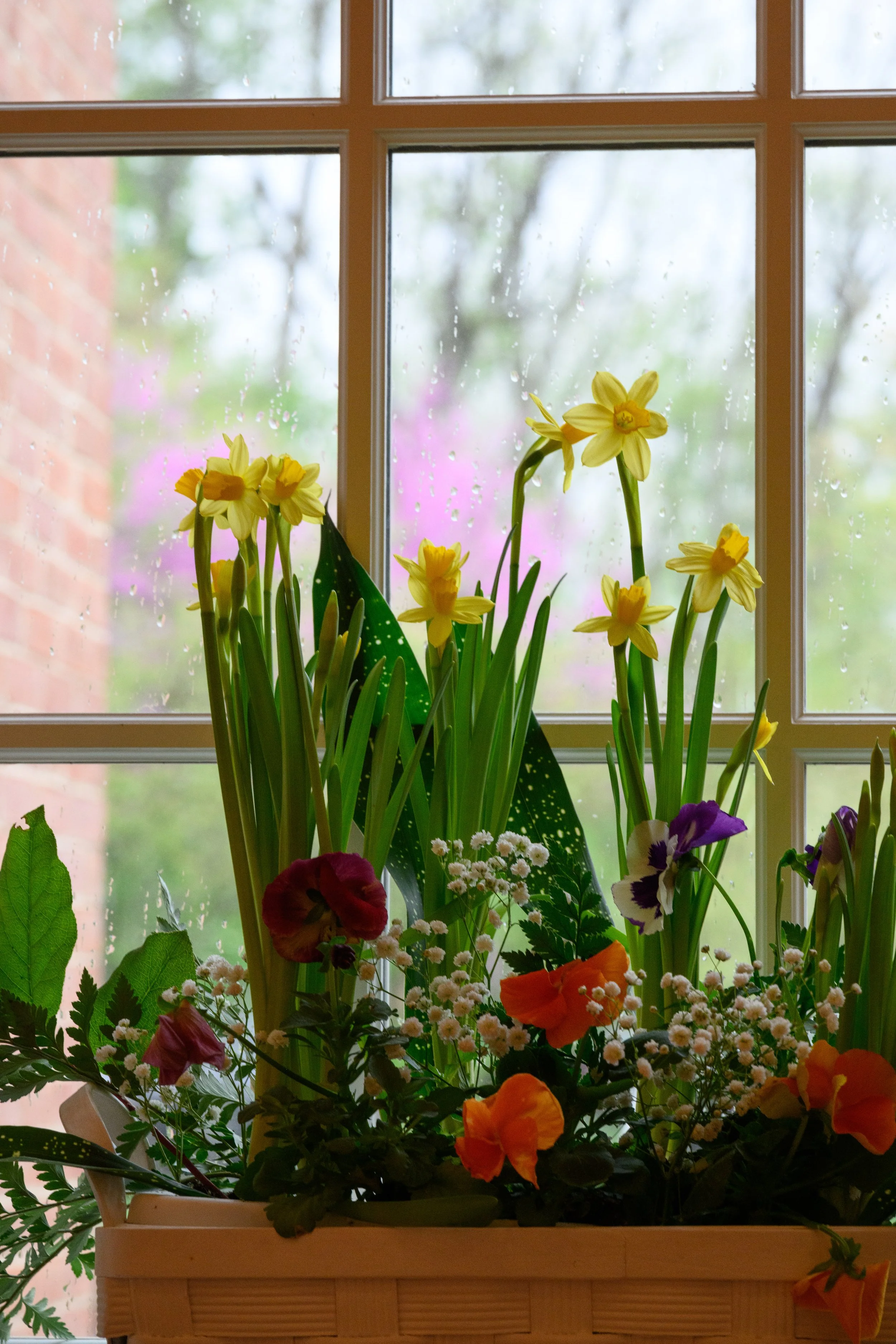 2026 04 05 Easter St. Peter_s  129.jpg