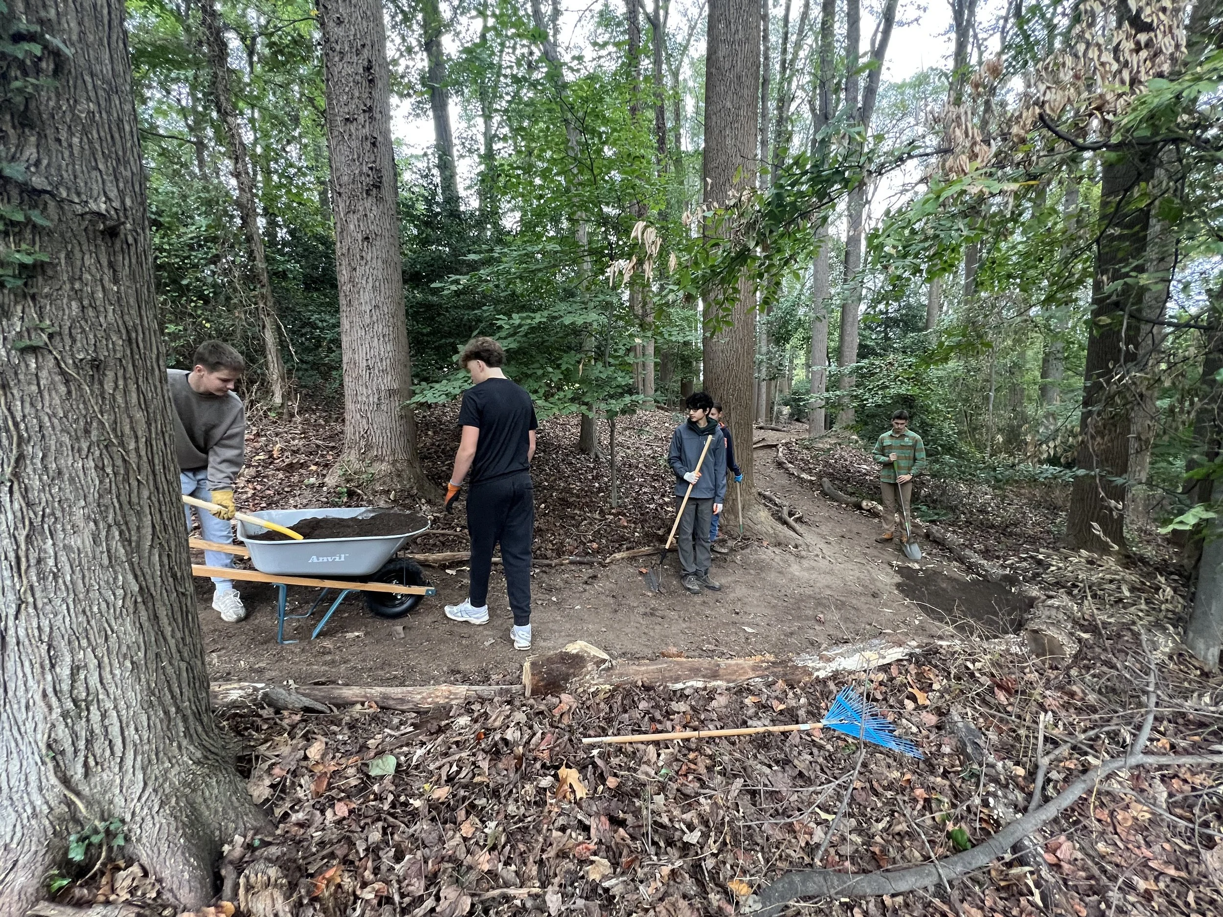 Group of young people working on a trail maintenance project in a forest, using shovels and rakes to clear debris and improve the path.