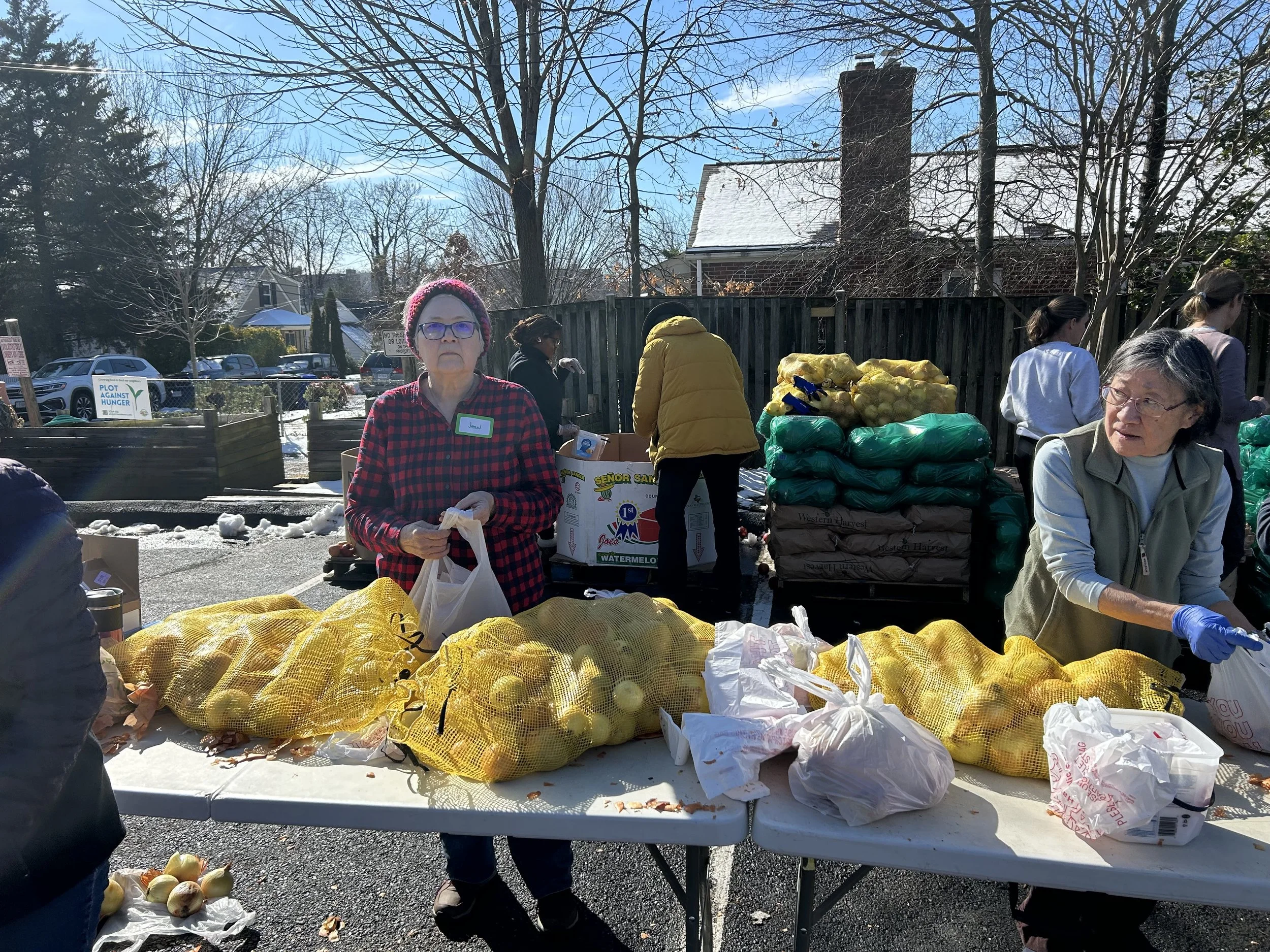Food being distributed