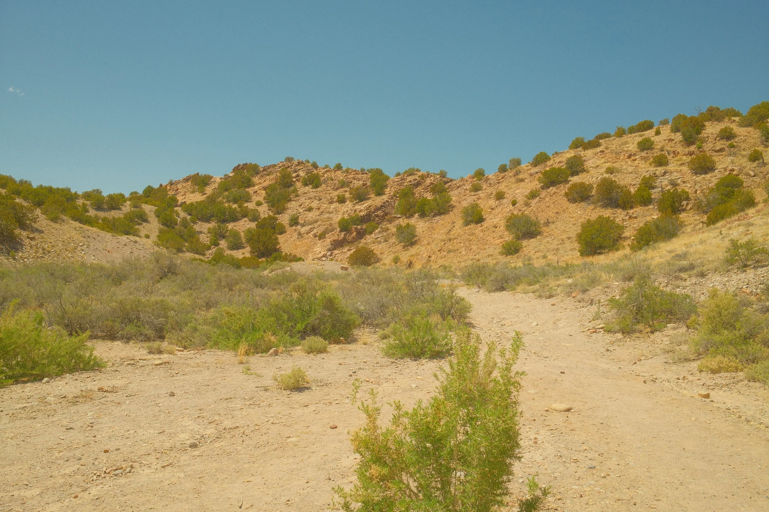 yoga retreat taos new mexico