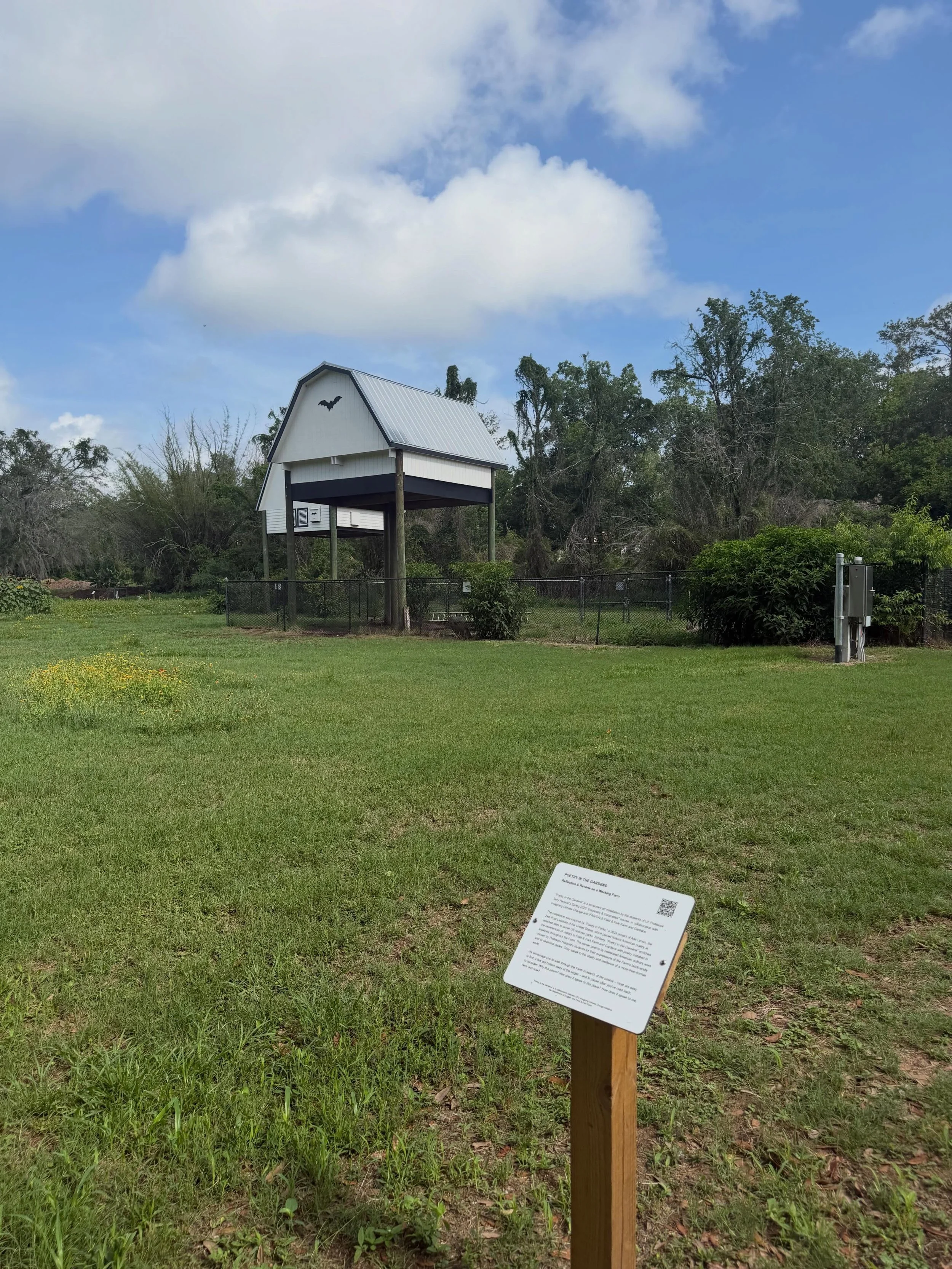 Hidden gem status: unlocked ✨
A Gainesville must-see with thousands of bats taking flight every day. 🦇
📍 UF Bat Houses
#HiddenGems #GainesvilleFL #UF #BatHouse #ExploreGNV HiddenawayGainesville OnlyAtUF