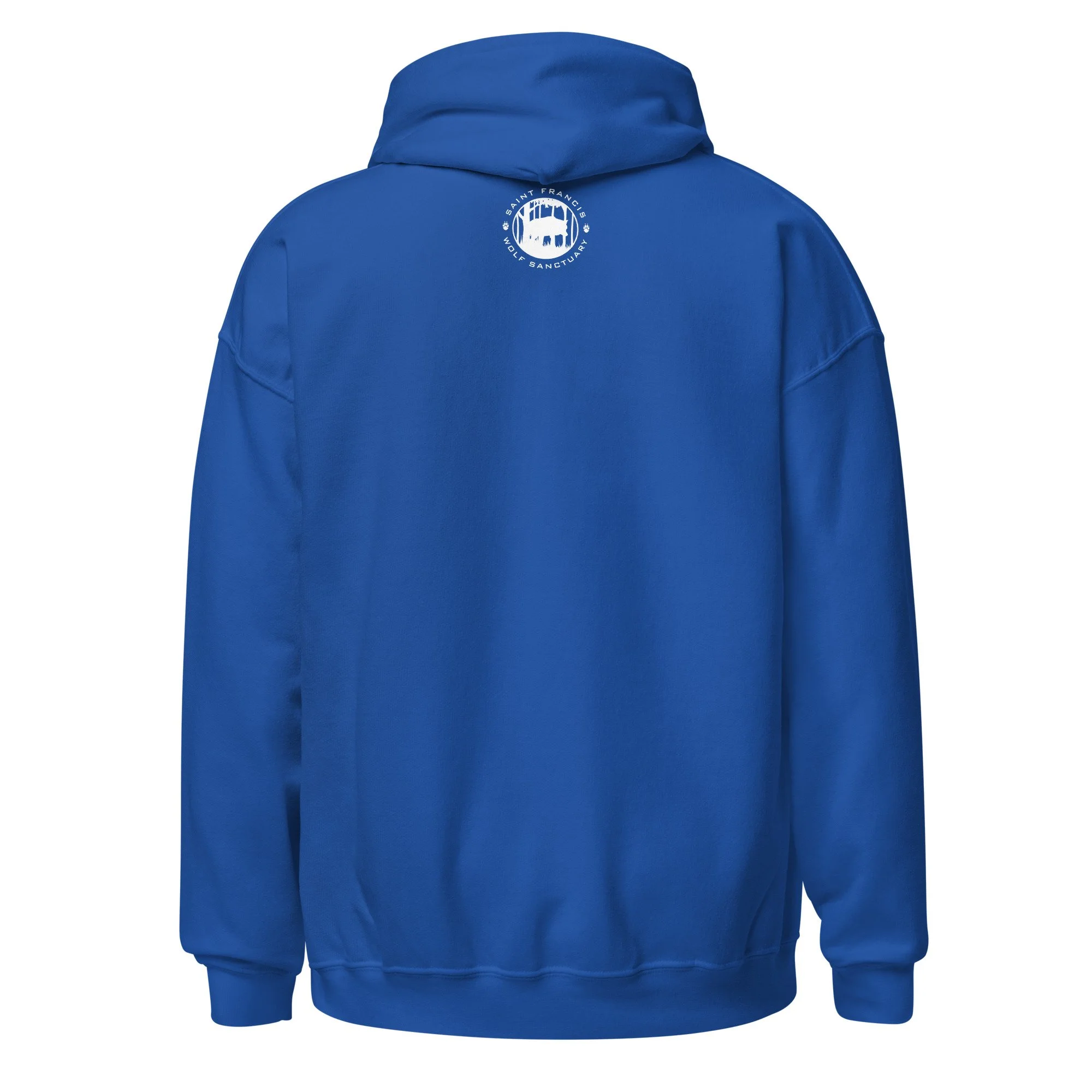 unisex-heavy-blend-hoodie-royal-back-6511f2fd9553e.jpg