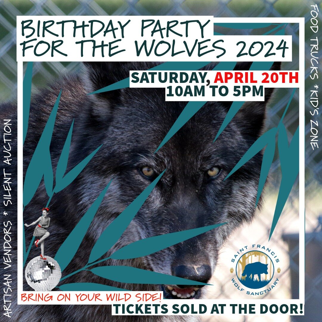 Did you know that all wolves are born in the Spring? Yep! That's why we encourage you to bring out your friends and family to celebrate the pack's annual birthday celebration at the Saint Francis Wolf Sanctuary! 
It promises to be a HOWLING GOOD TIME