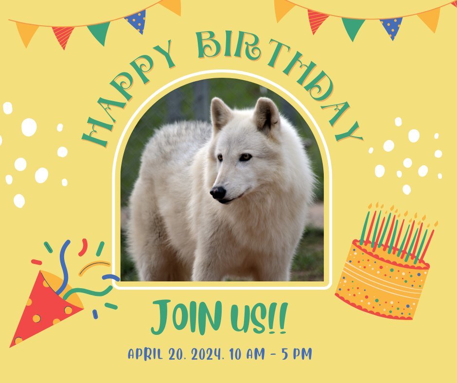 Did you know that all wolves are born in the Spring? Yep! That's why we encourage you to bring out your friends and family to celebrate the pack's annual birthday celebration at the Saint Francis Wolf Sanctuary!

It promises to be a HOWLING GOOD TIME