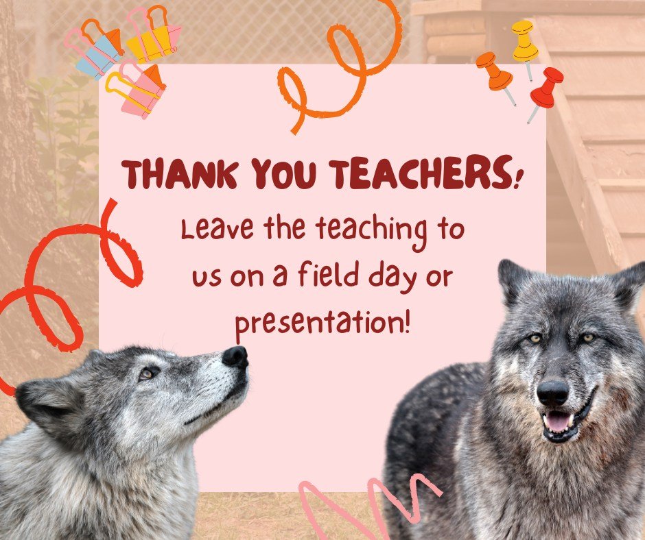 It's Teacher Appreciation Day! Let's take a moment to thank those who work with and care for our children!

Teachers, let us do you a favor! Saint Francis Wolf Sanctuary offers field days and presentations! On field days, students will play fun ecolo