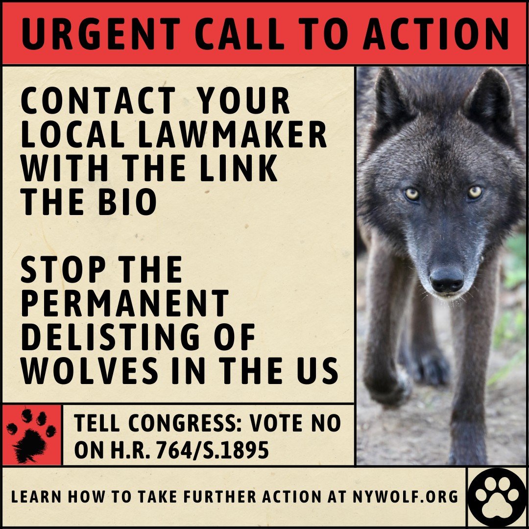 URGENT! Visit @wolfconservationcenter and click the link in the bio, which provides a convenient automatic email to your local senator! Just input your information and MAKE A DIFFERENCE!

A bill called the &quot;Trust the Science Act&quot; proposes t