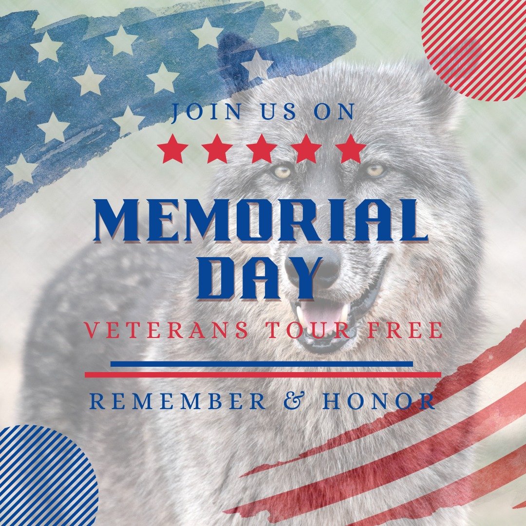 Memorial Day is coming up! This year, we are opening up the sanctuary for tours at 11 AM, 1 PM, and 3 PM! Veterans tour free, and friends and family get a discount! 

Find our memorial day bookings under the &quot;Visit Us&quot; tab on our website!
h
