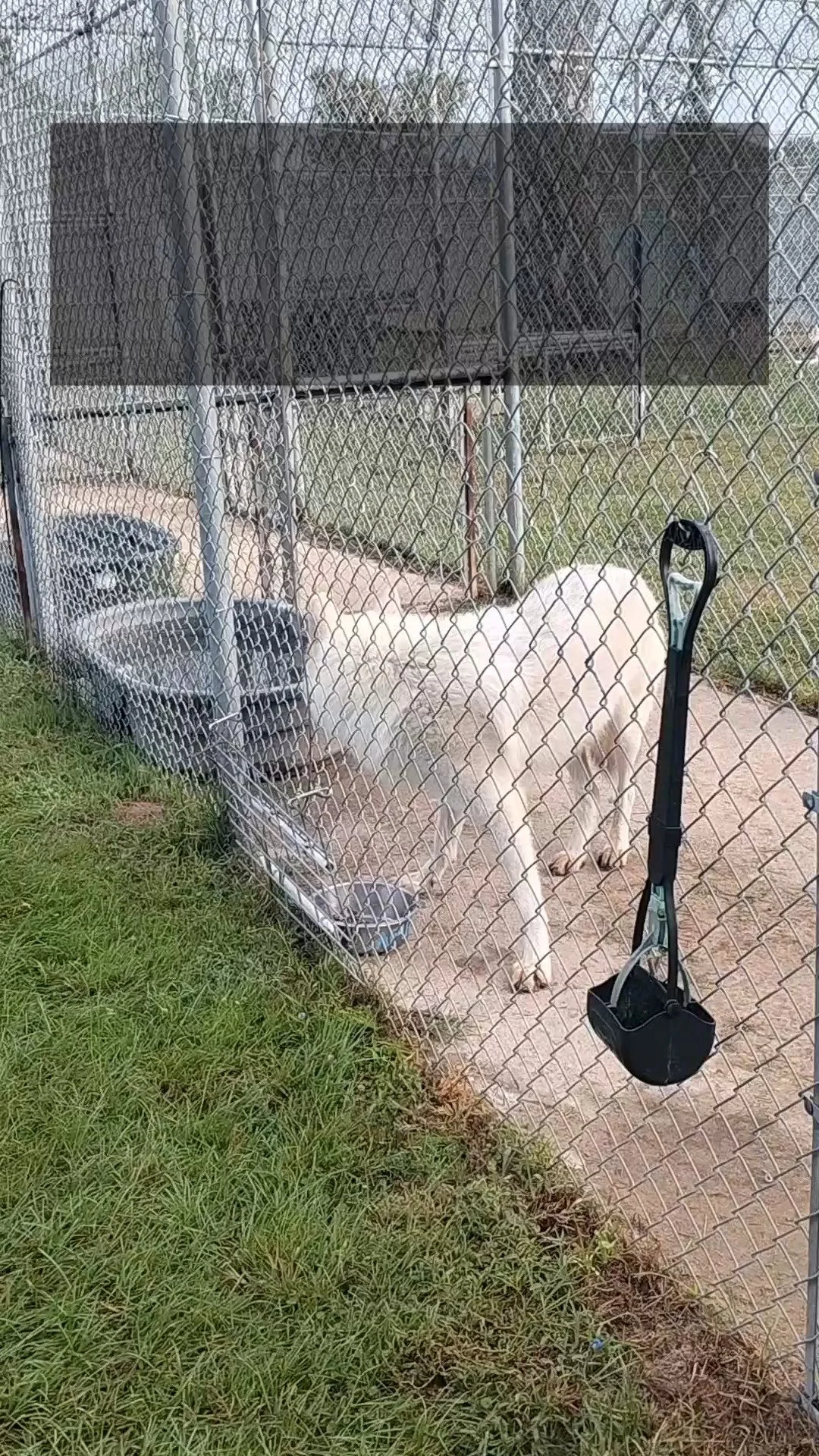 Saint Francis Wolf Sanctuary