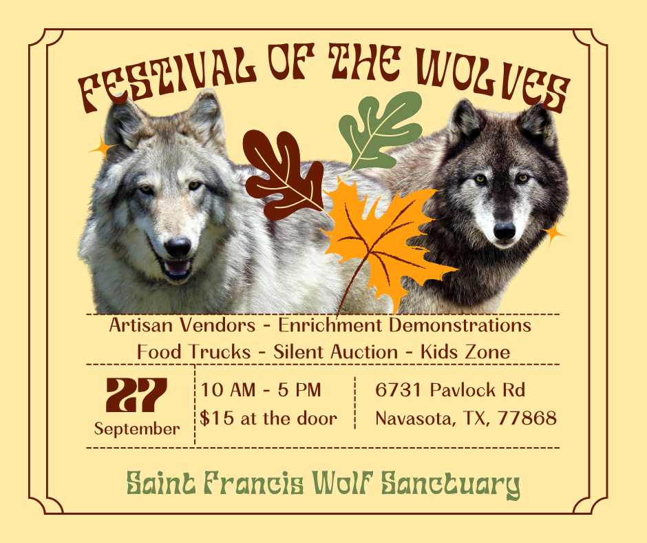 Festival of the Wolves 2025