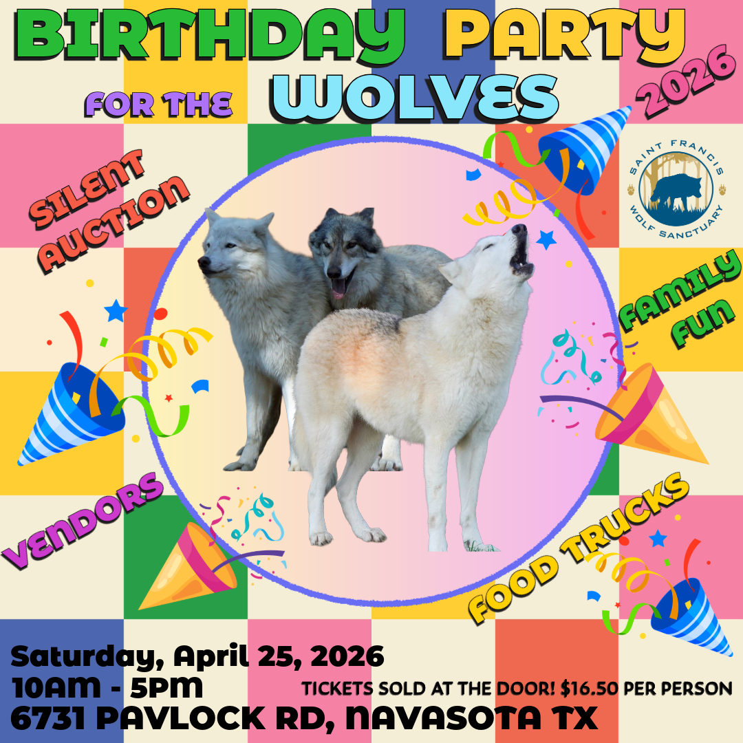 Birthday Party for the Wolves 2026