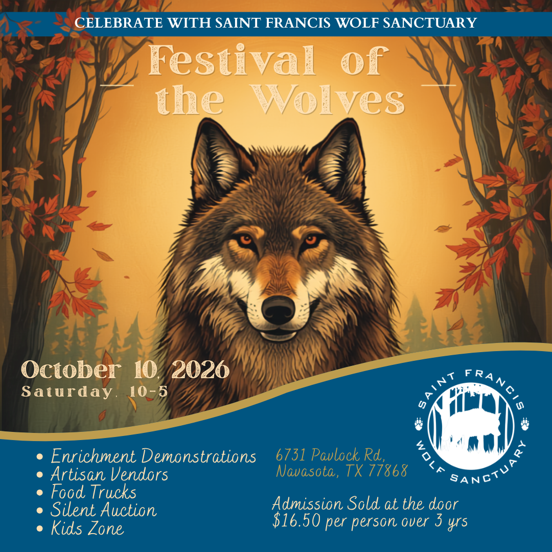Festival of the Wolves - 2026