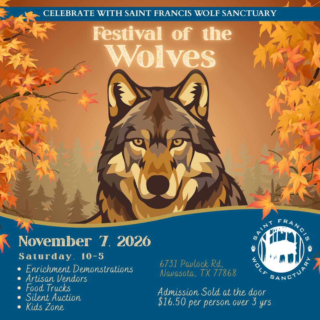 Festival of the Wolves - 2026