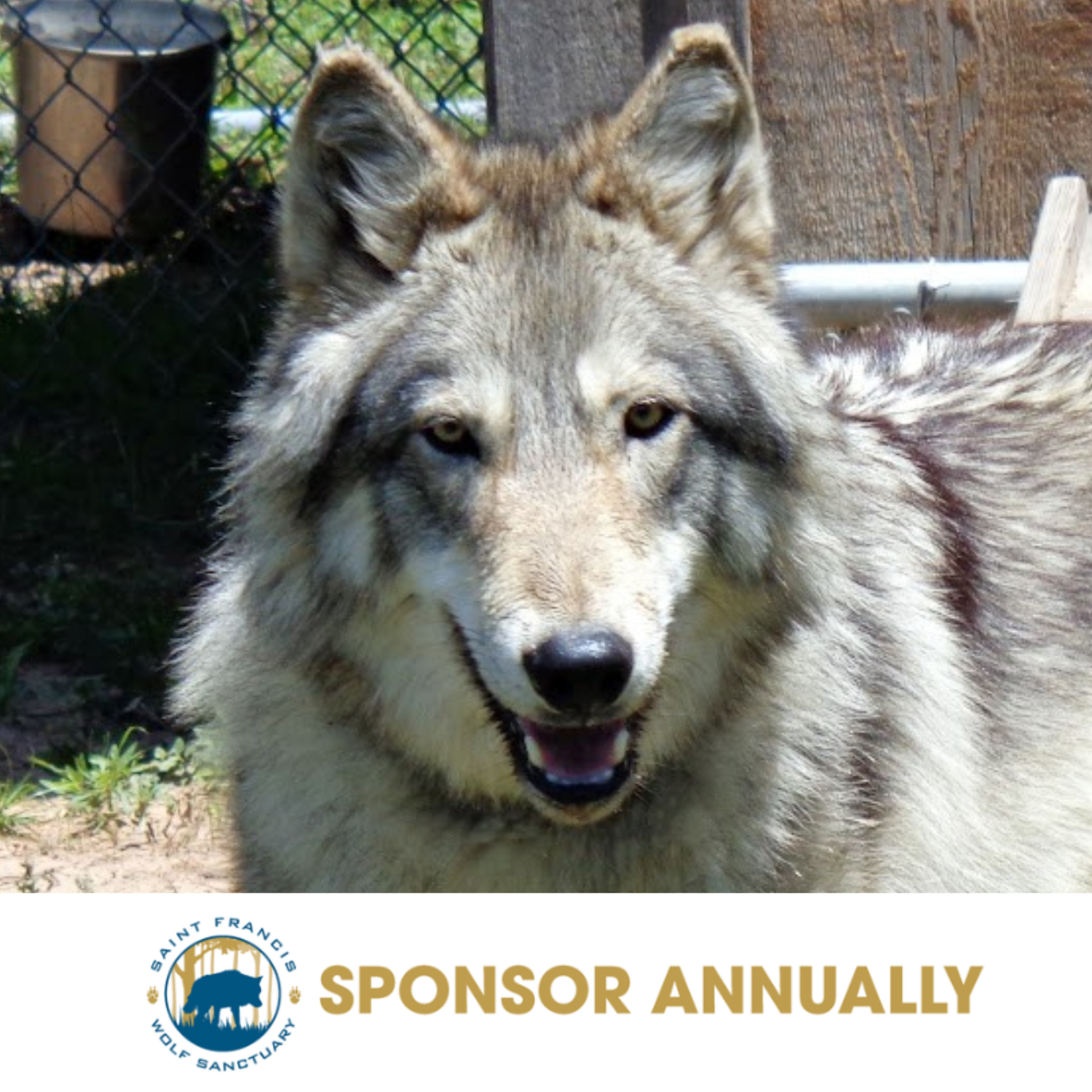 Sponsor Skye - Annual Donation