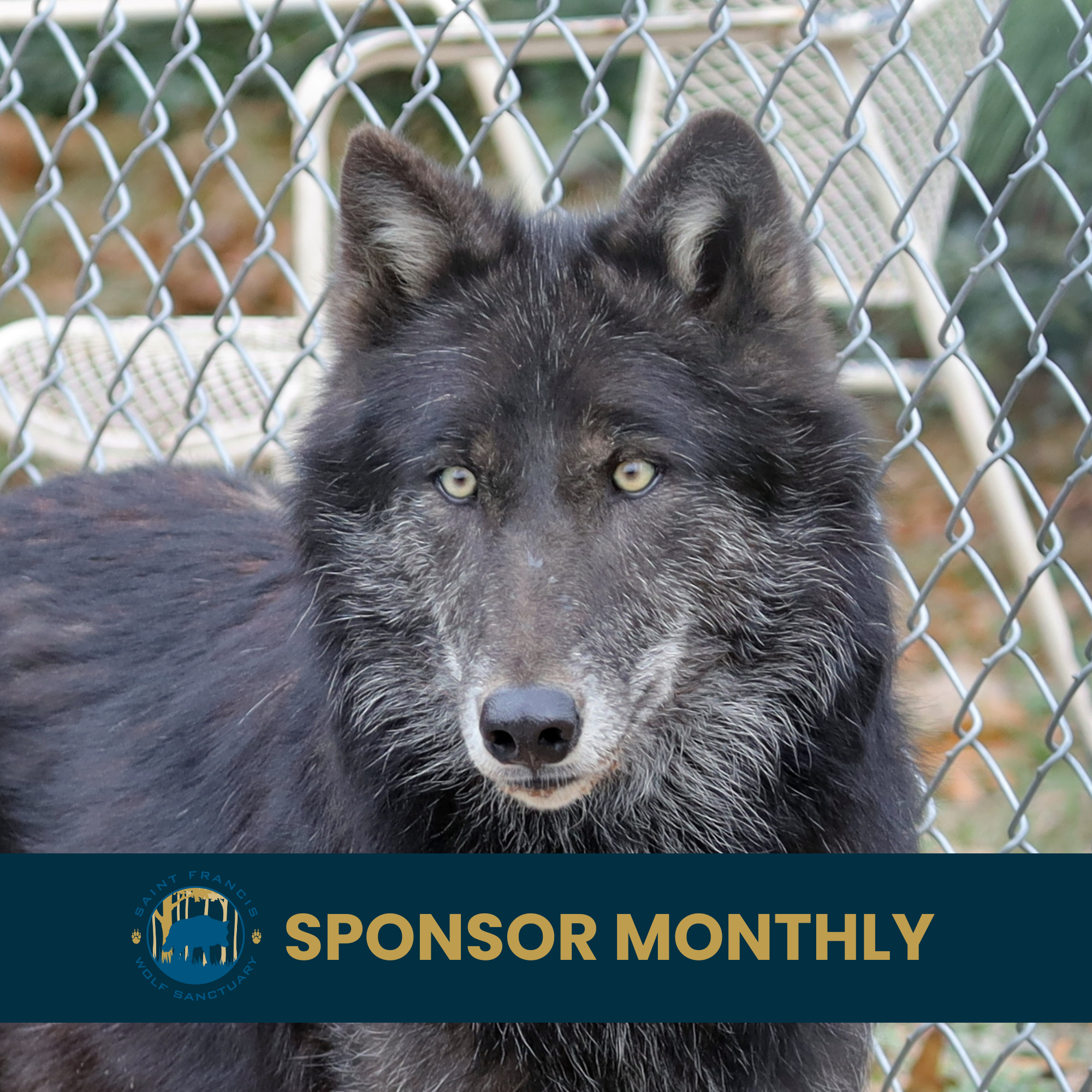 Sponsor North - Monthly Donation
