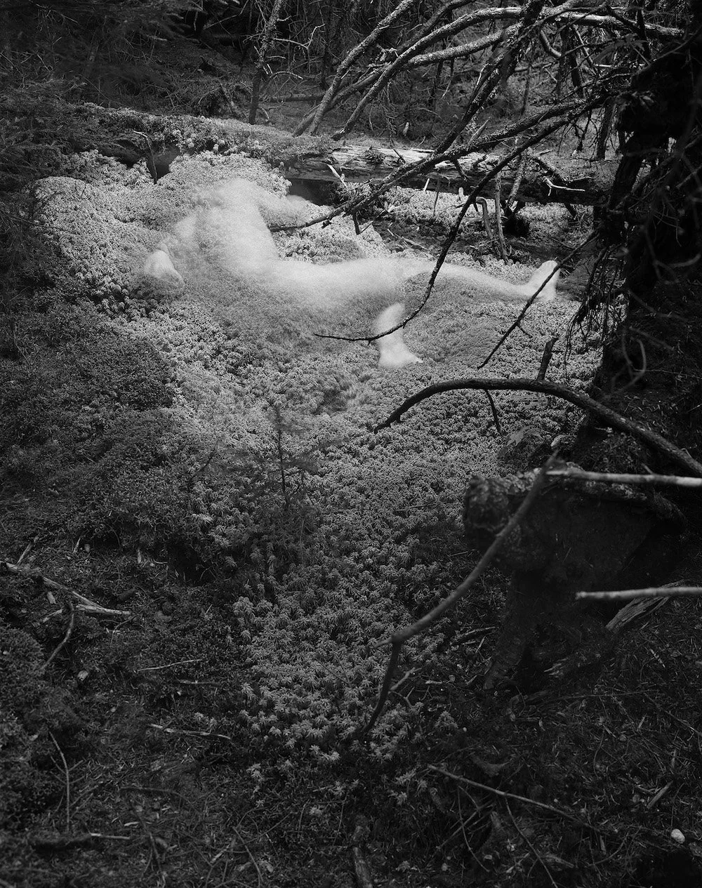 Opening for Reciprocal Ecology // March First Friday