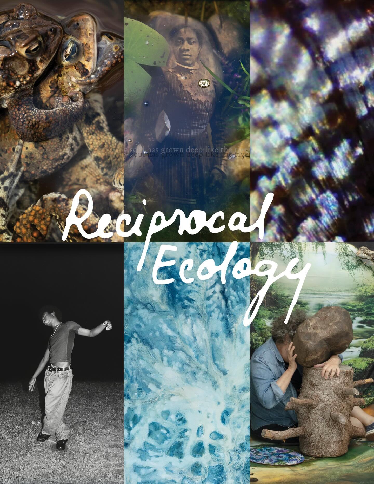 Reciprocal Ecology Online Artist Talk

Join us for an online artist talk on March 25th from 6-7pm for our group exhibition @reciprocal_ecology , which examines the diverse ways photographers engage in cyclical relationships with the natural world.
Fe