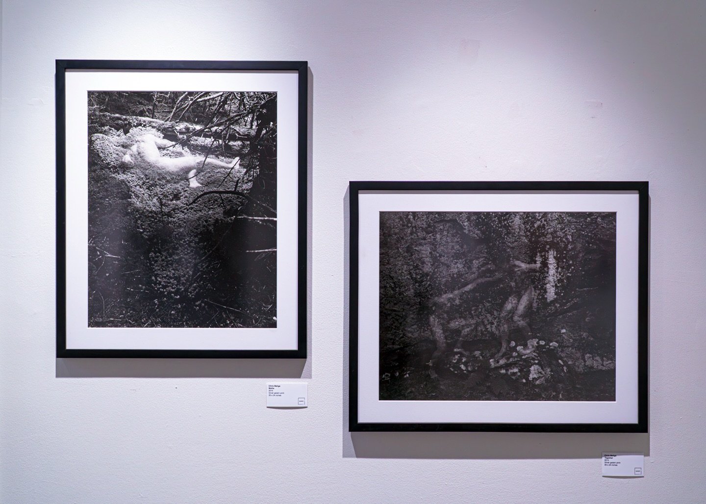 Pieces from our current exhibition @chrismaliga 

Join us this weekend for an in person artist talk with Chris and a couple more artists from @reciprocal_ecology 

Chris Maliga is a New England based photographer whose work explores concepts of psych