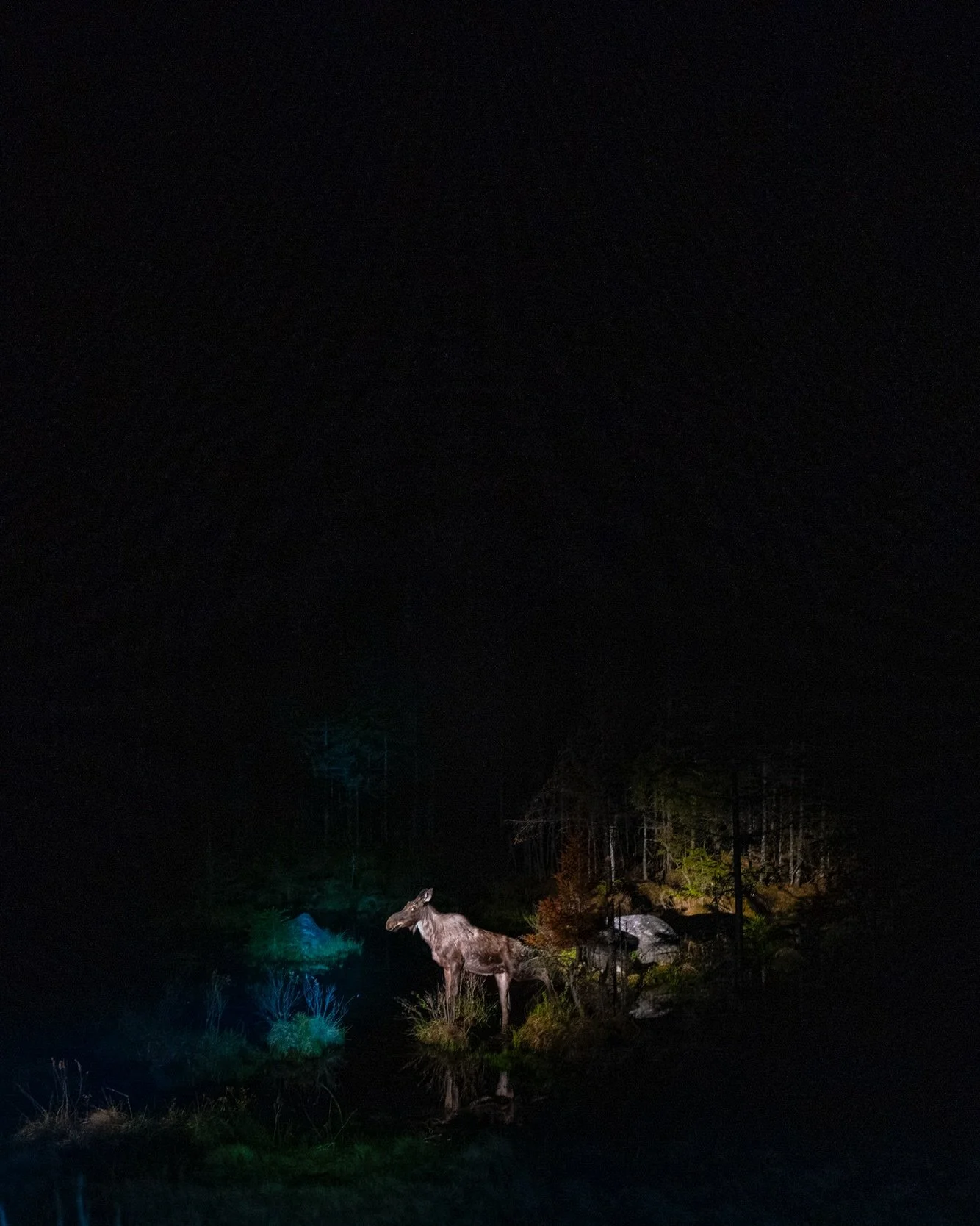 As we continue our conversations in the final week of @reciprocal_ecology, today we are highlighting @jtully work alongside his reflections on the exhibition and what being part of it has meant to him.

What does being part of Reciprocal Ecology mean