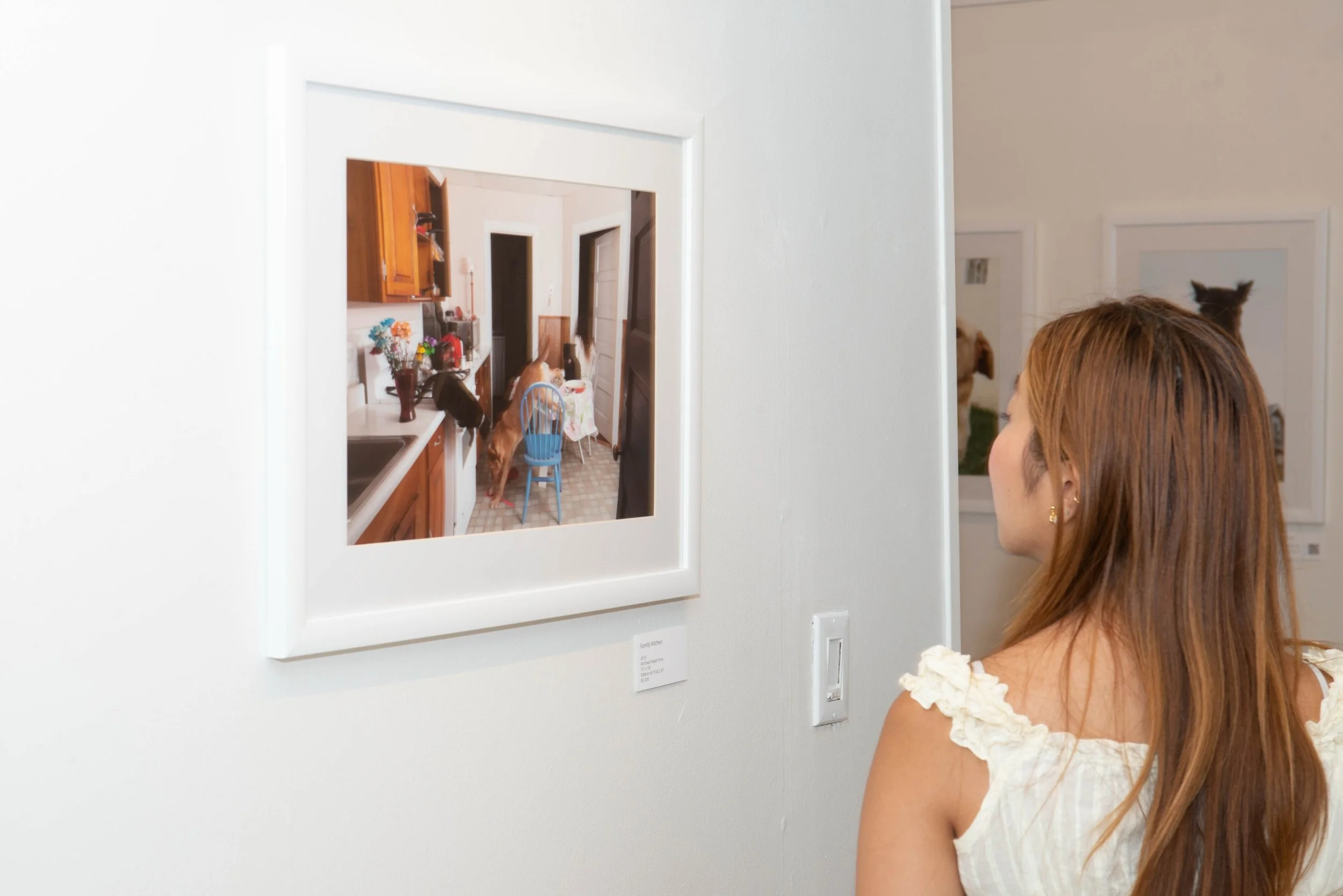 Comical and adorable 💛 &ldquo;Animal Nature&rdquo; is still on view till the end of the weekend! 🐶🐱🐩🐈&zwj;⬛

By @ileanadobleh 

In 2011, to escape the violence in their homeland, Mexico, photographer Ileana Doble Hernandez and her husband packed