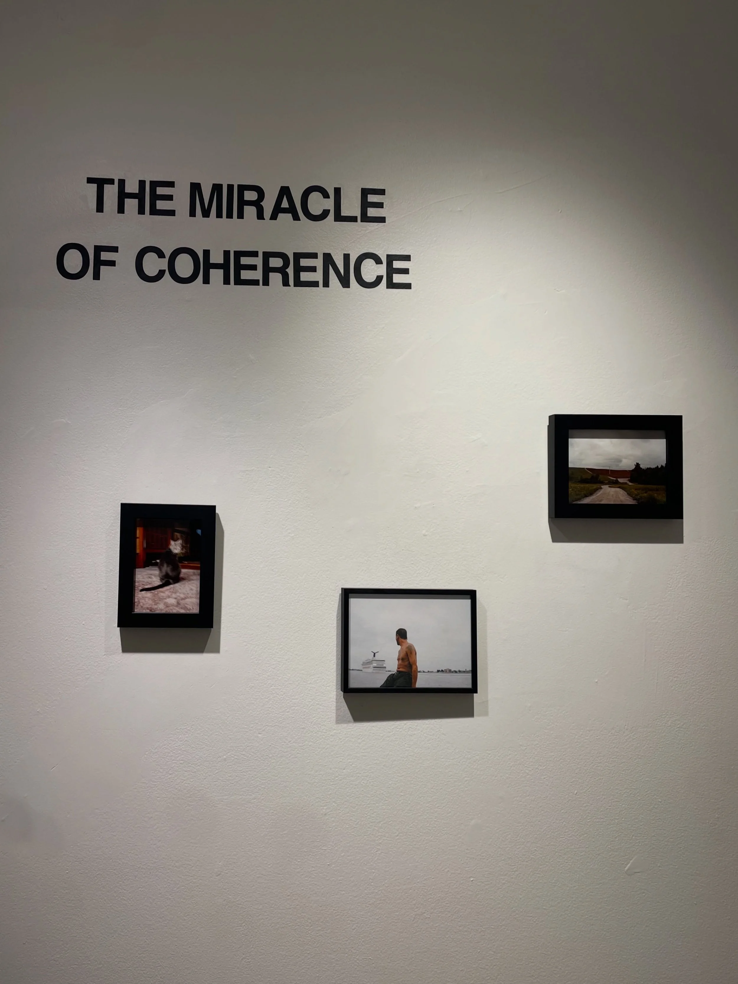 The Miracle of Coherence

@brynnequinlan 
@cassidythurberarchive 
@jamaicaplainandtall 

This exhibition explores how visual proximity opens space to navigate family, community, a sense of self, and invites the viewer to examine their own gaze. Proce