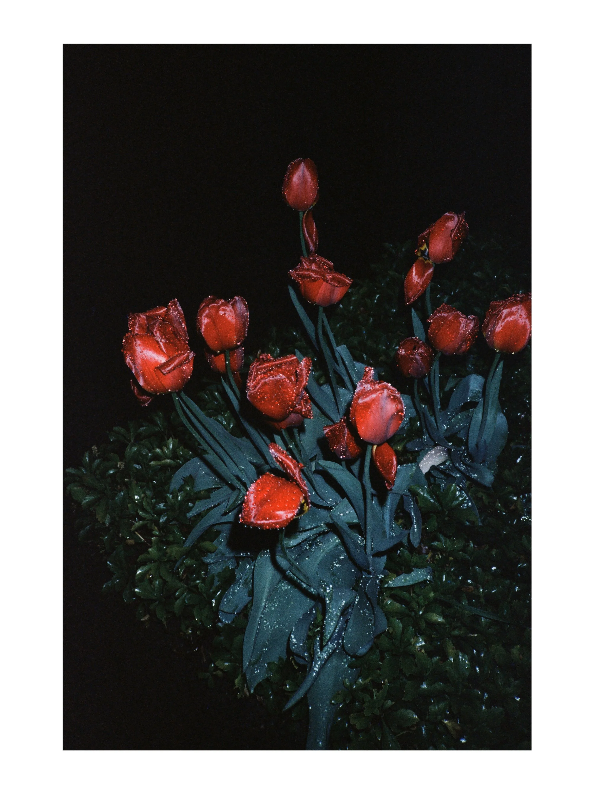Through the lense of @j_a_m_i_e_s for this studio Sunday 📸🖤

Jamieson Edson (b. 1993) is a lens-based visual artist based in Somerville,
Massachusetts. They received their BFA from the Studio for Interrelated Media at
Massachusetts College of Art a