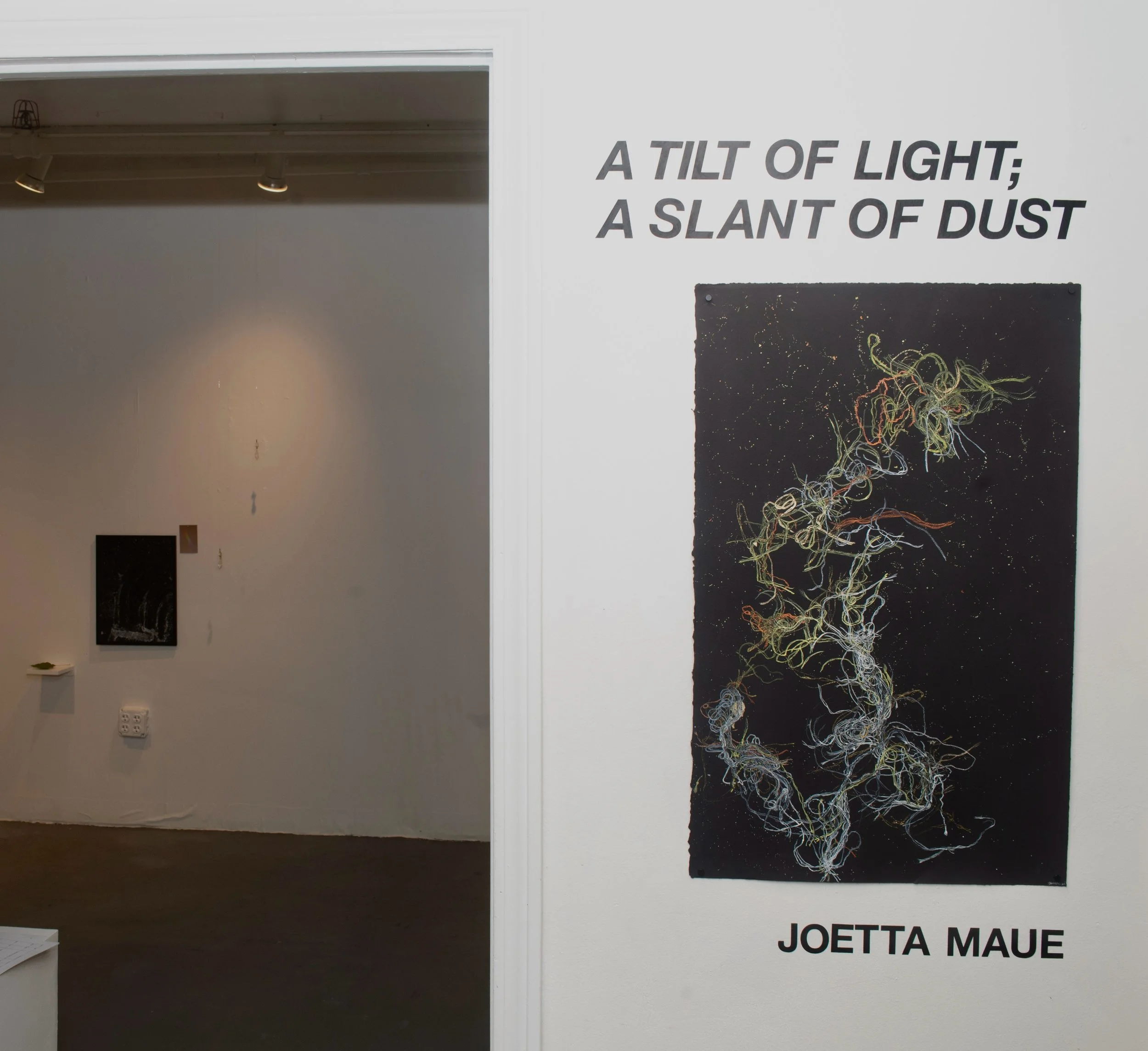 &ldquo; A Tilt of Light; A Slant of Dust&rdquo; solo exhibition by @joettamaue, is on view through this Sunday 🖤

Come by before and experience the exhibition in our back room gallery before it&rsquo;s too late!

📸: @jbrewerphoto