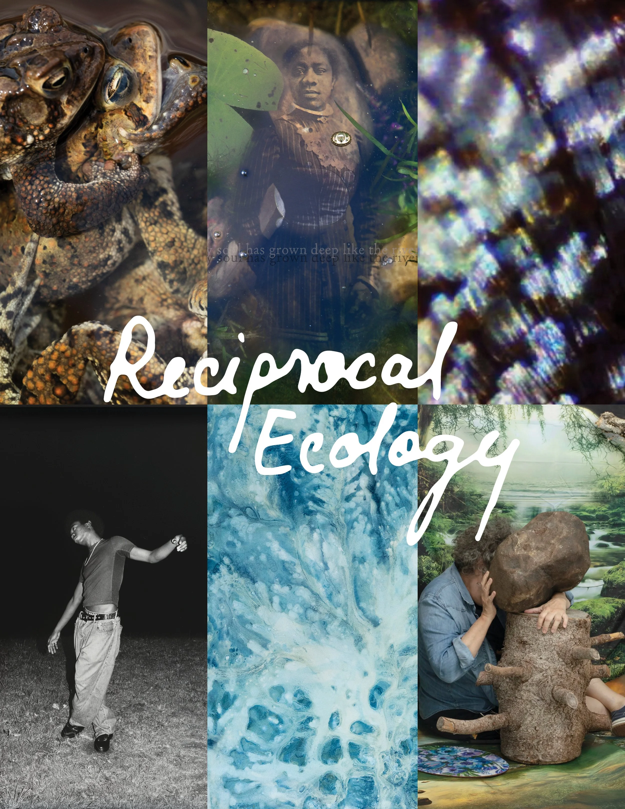 Reciprocal Ecology Online Artist Talk