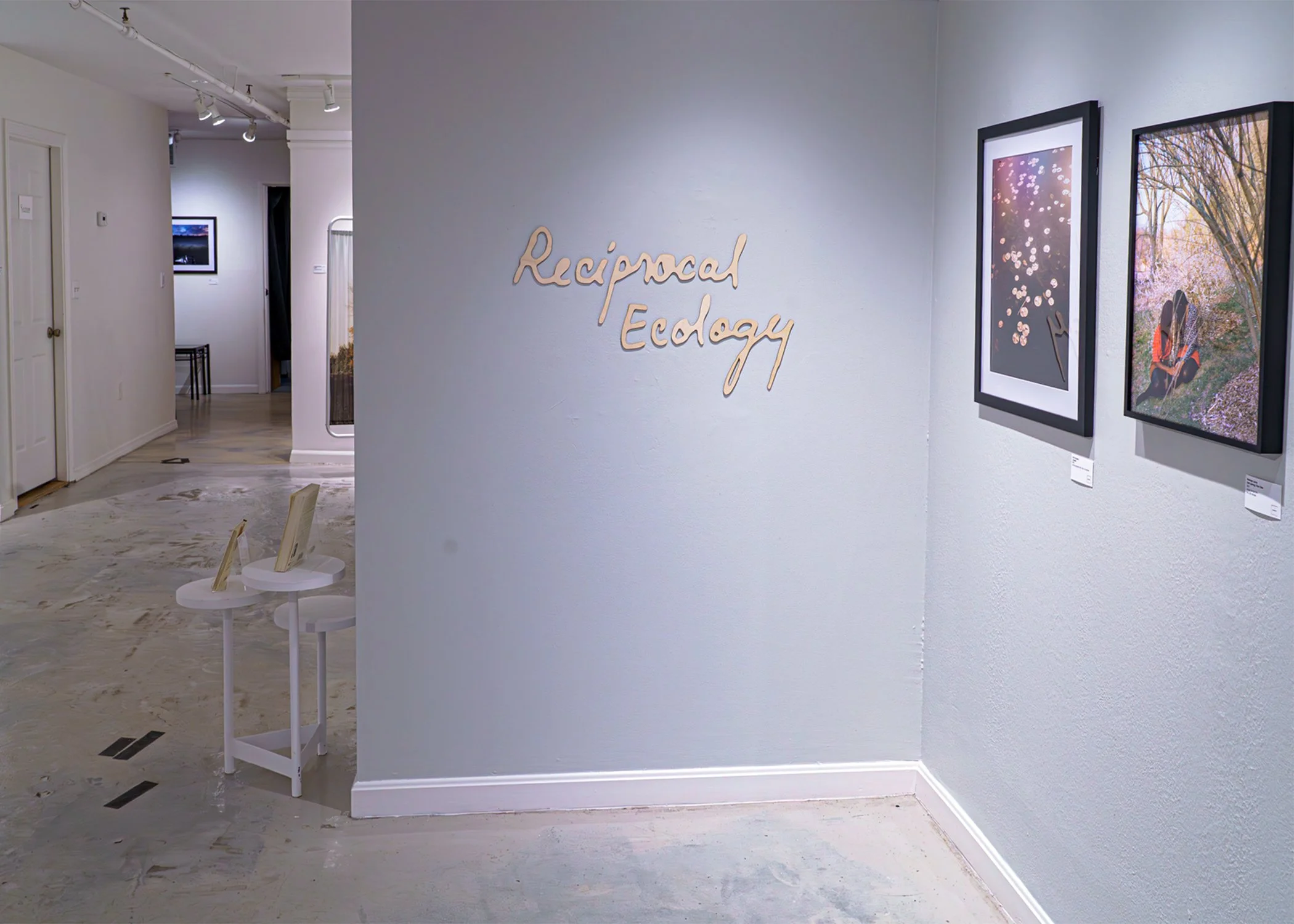 showup_reciprocal_ecology_11.jpg