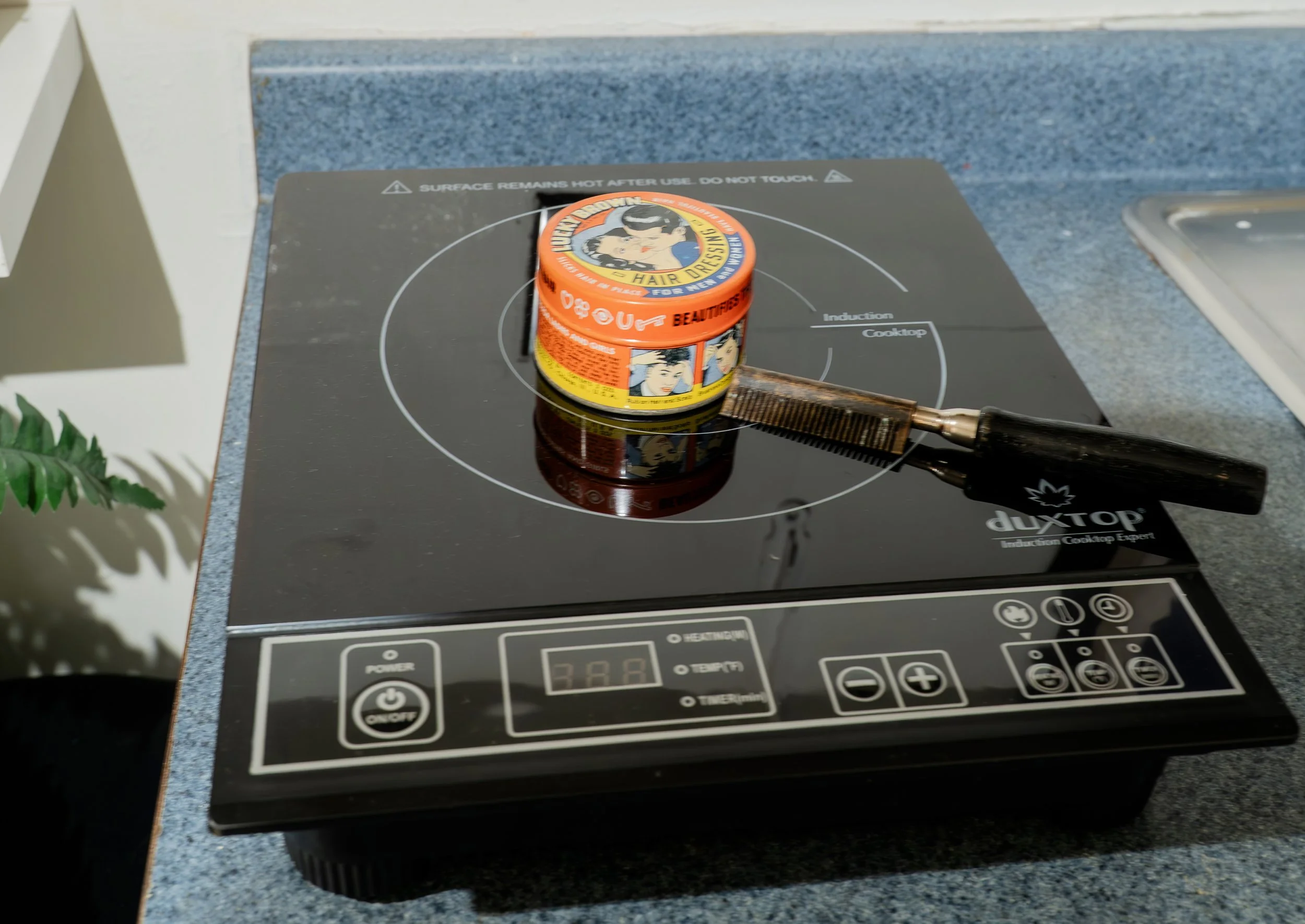 Copy of ShowUp_Shardé_Marchewski-65.jpg