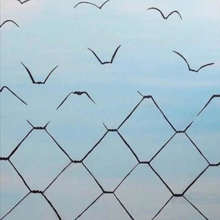 Why Behavior Change Isn’t Enough