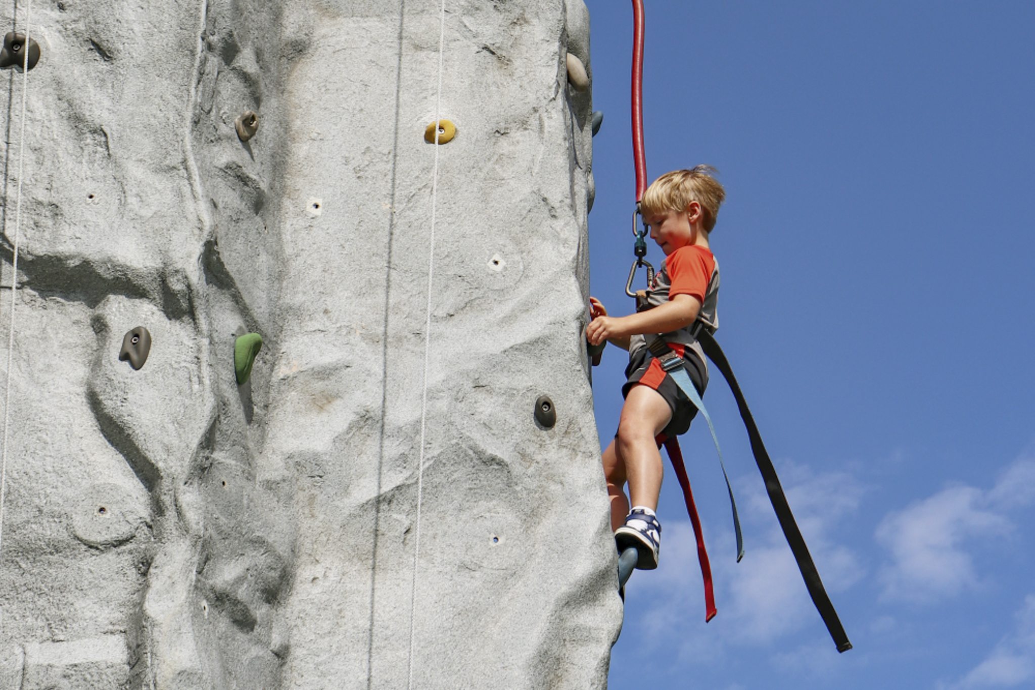 IMG_3819-2.png
