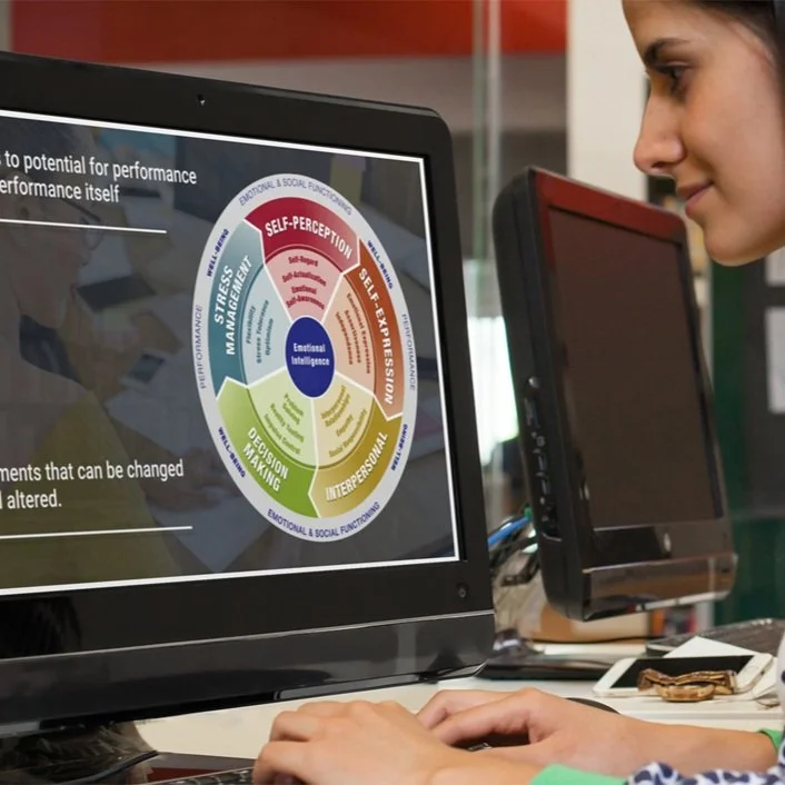eLearning Articulate Storyline 360