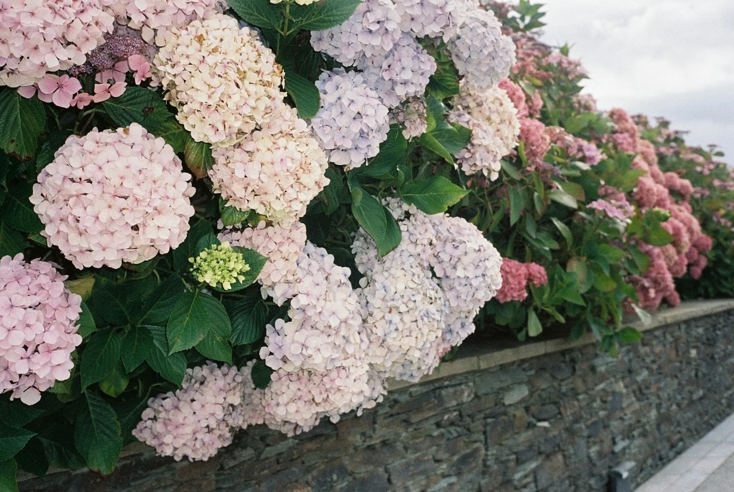 Kinsale, Ireland - August 2025