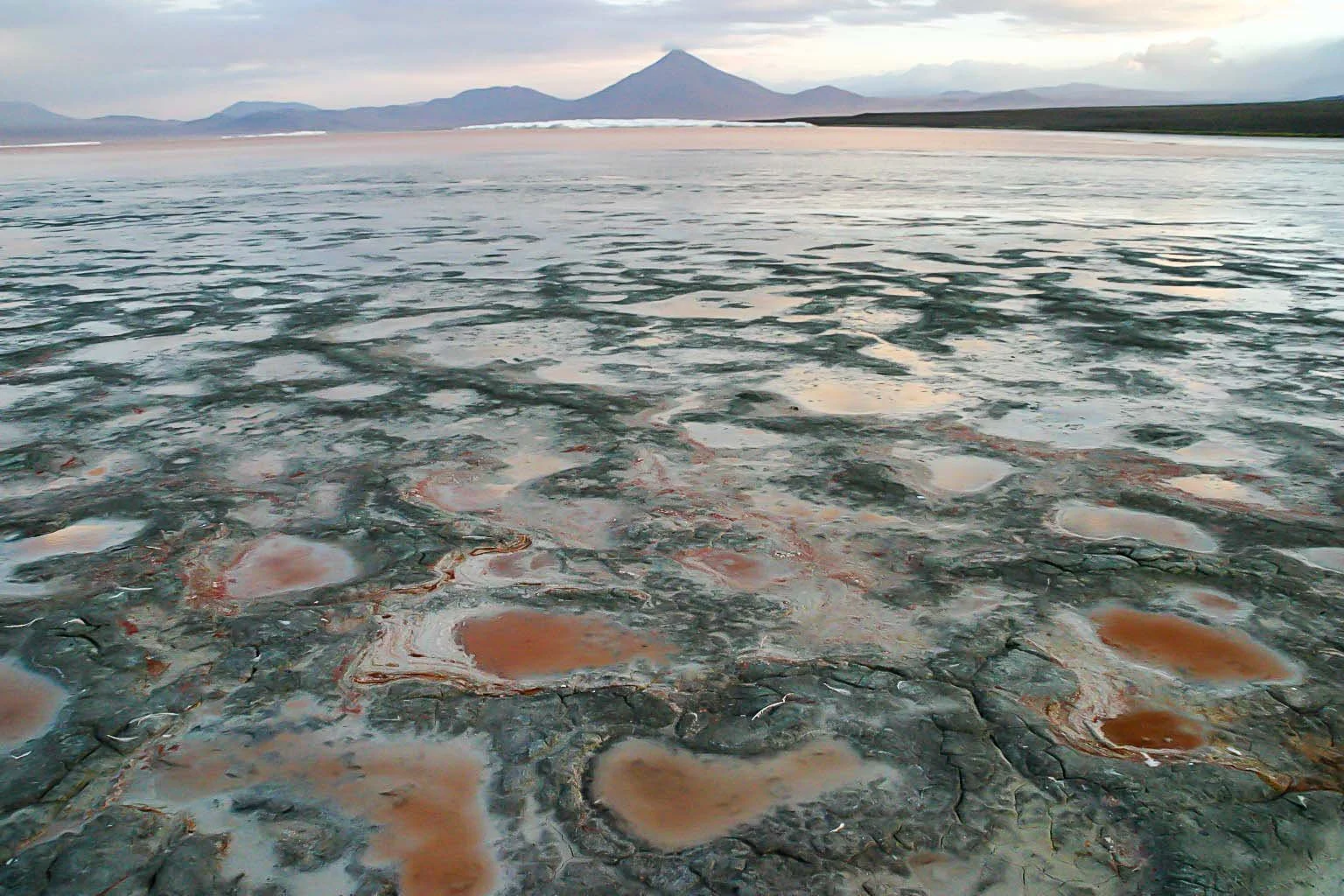 10-RED LAKE, Laguna Colorada, Bolivia.jpg