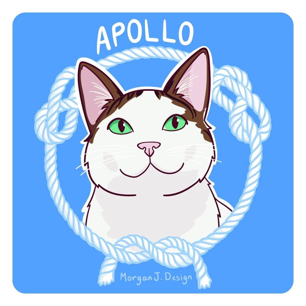 Digital portrait of my partners cat, Apollo! My partner likes to sail so the rope border is a reference to that, as well as a reference to Apollo's favorite thing in the whole world... string!

#petportrait #illustration #digitalpainting #catsofinsta