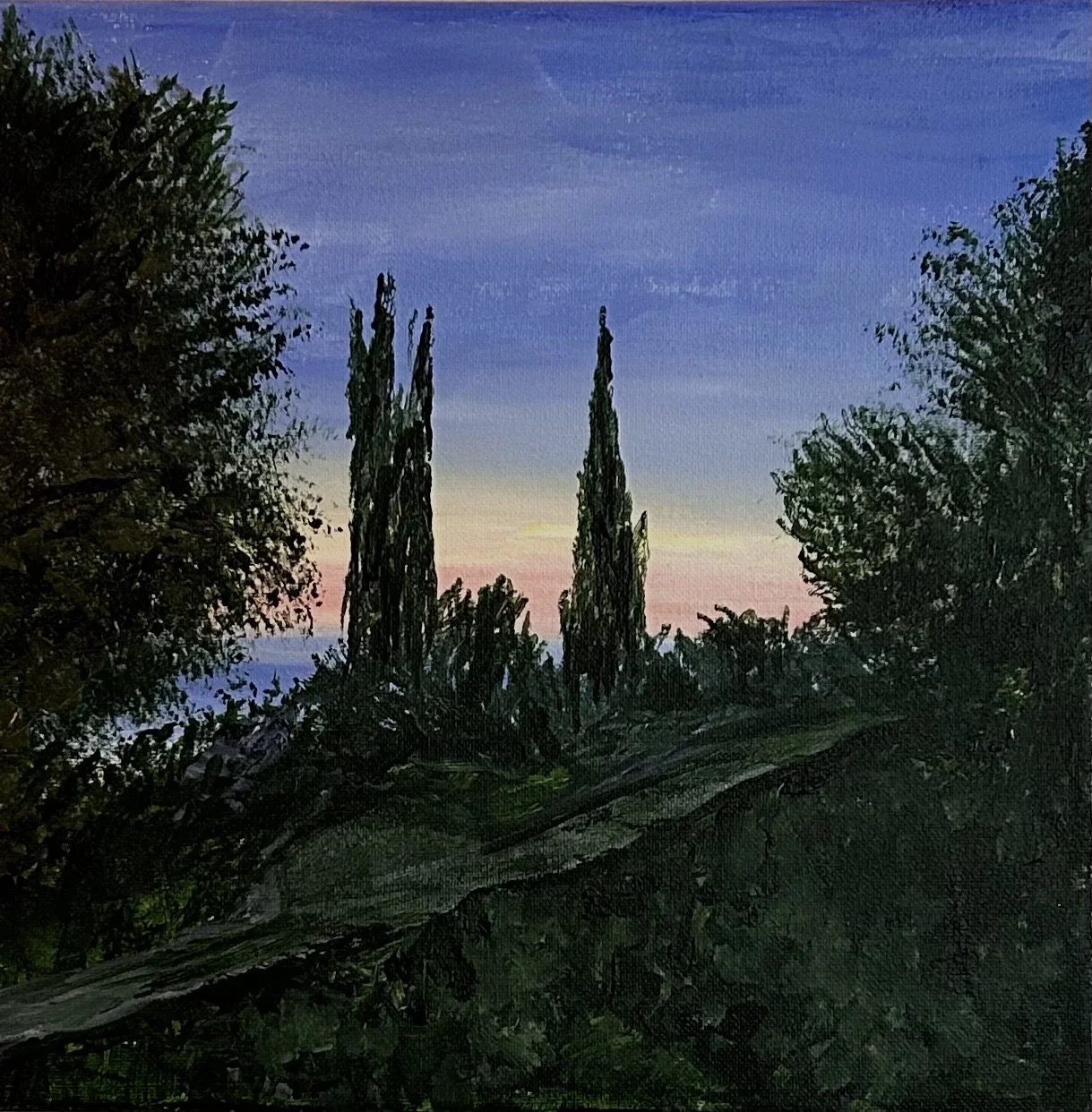 Road, cyprus trees,