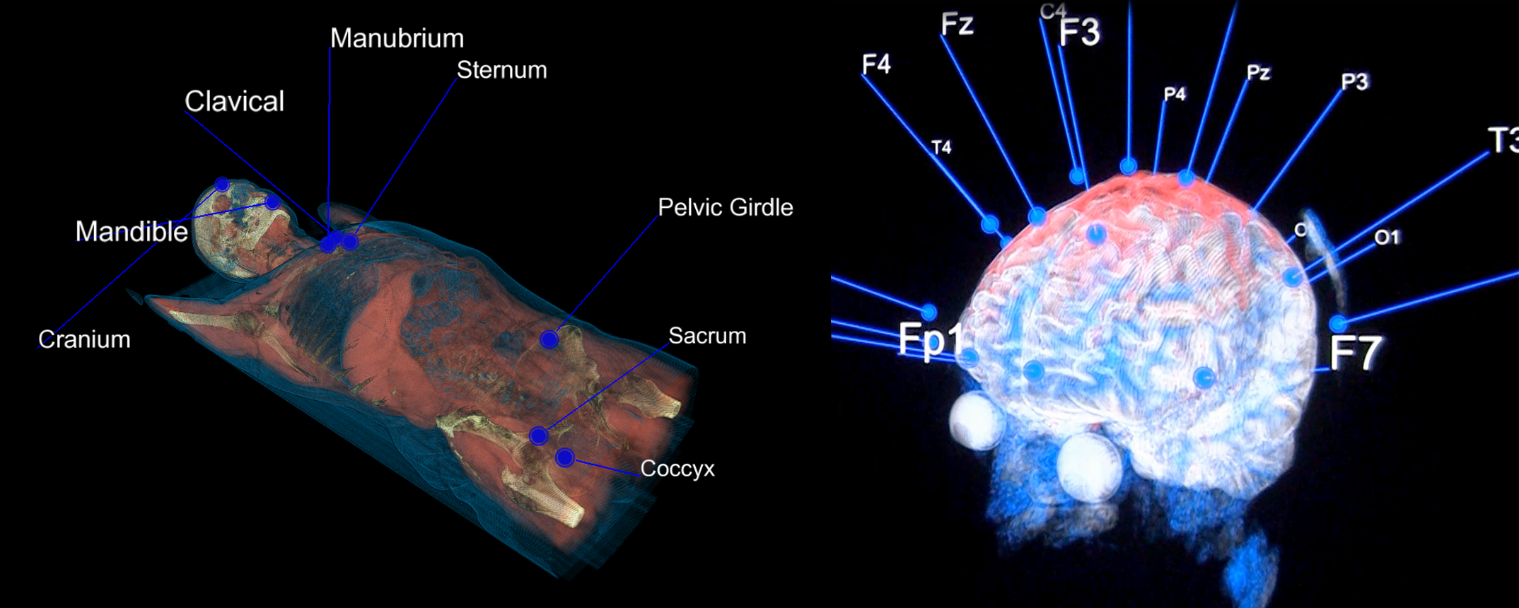 Joint VR Laboratory for Neuroimaging