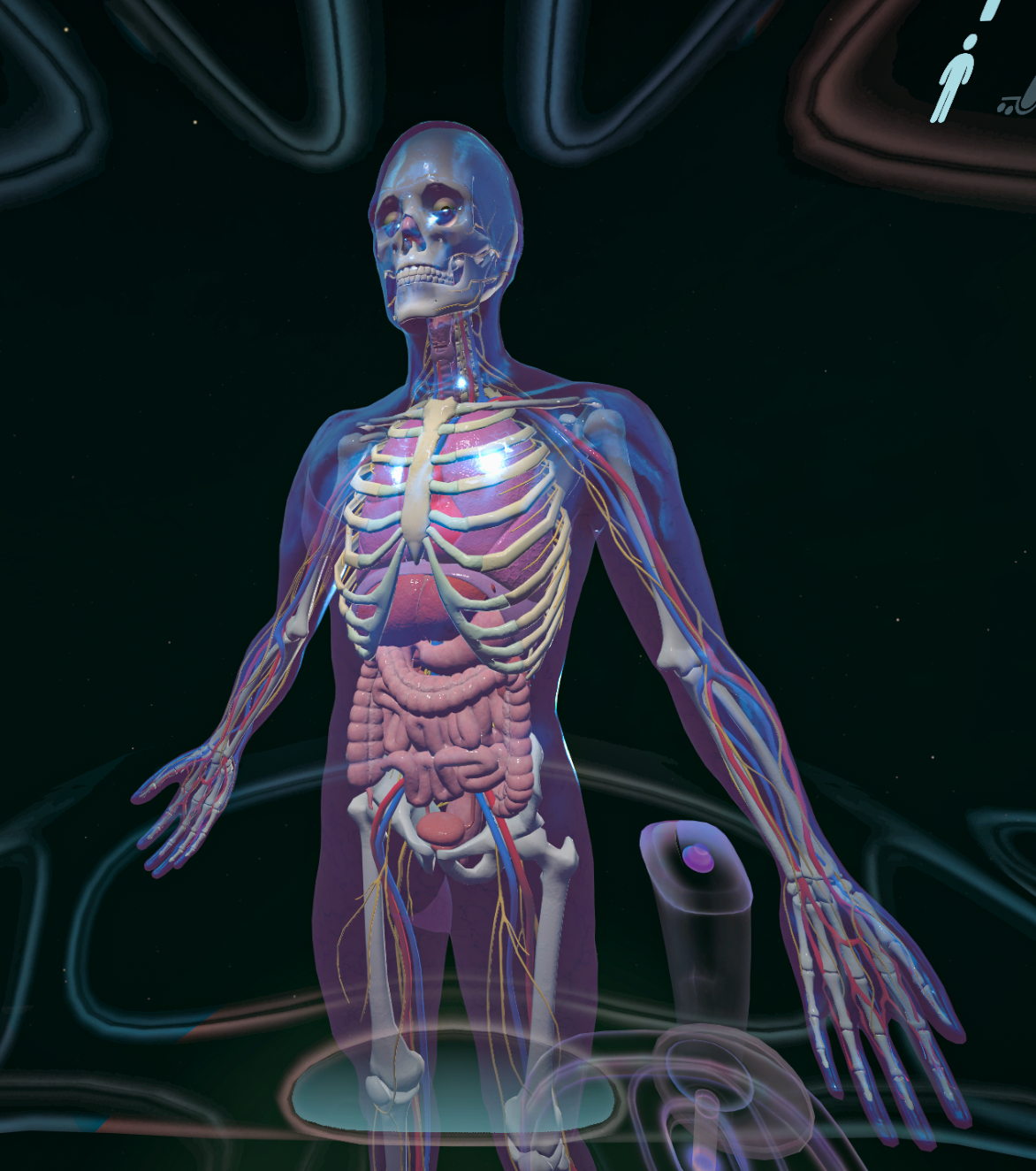 The human glass body viewed from a holographic ship, seeing the interior of the human body as the skin disappears.
