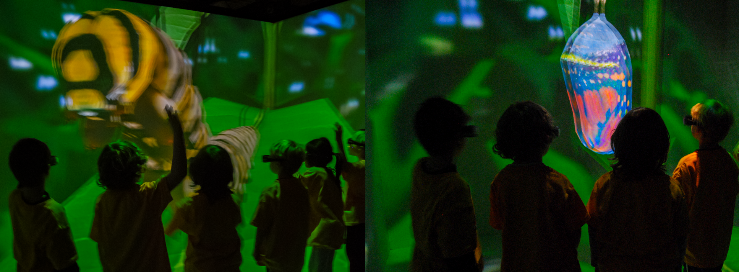 Monarch Butterfly Lifecycle