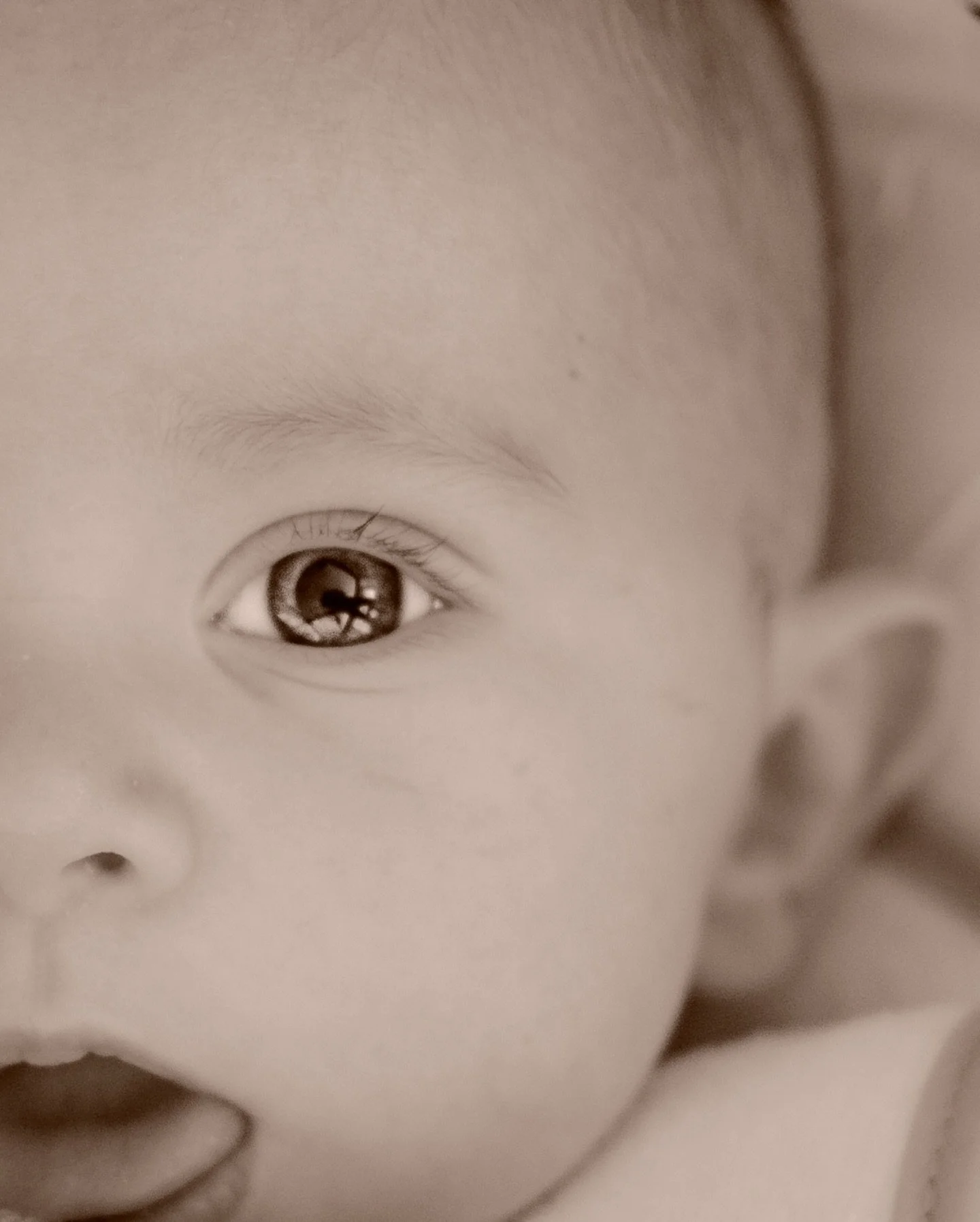 Look... I&rsquo;m not saying you should take professional photos every day, but maybe on a random Thursday when you&rsquo;re feeling like you&rsquo;re more together than normal while adjusting to life with 2 instead of 1....

#photography #photoofthe