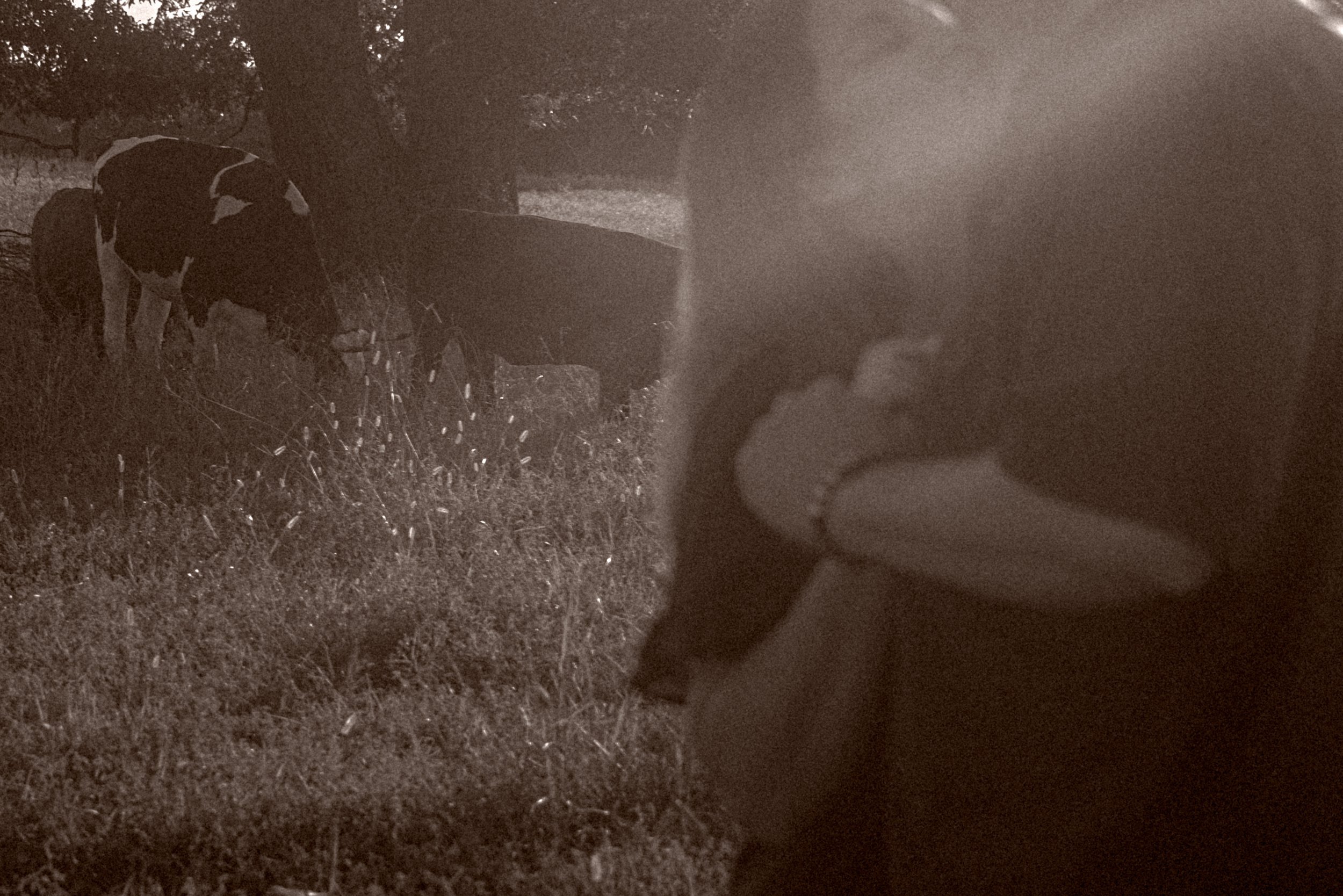 Pierson Farm-229.jpg