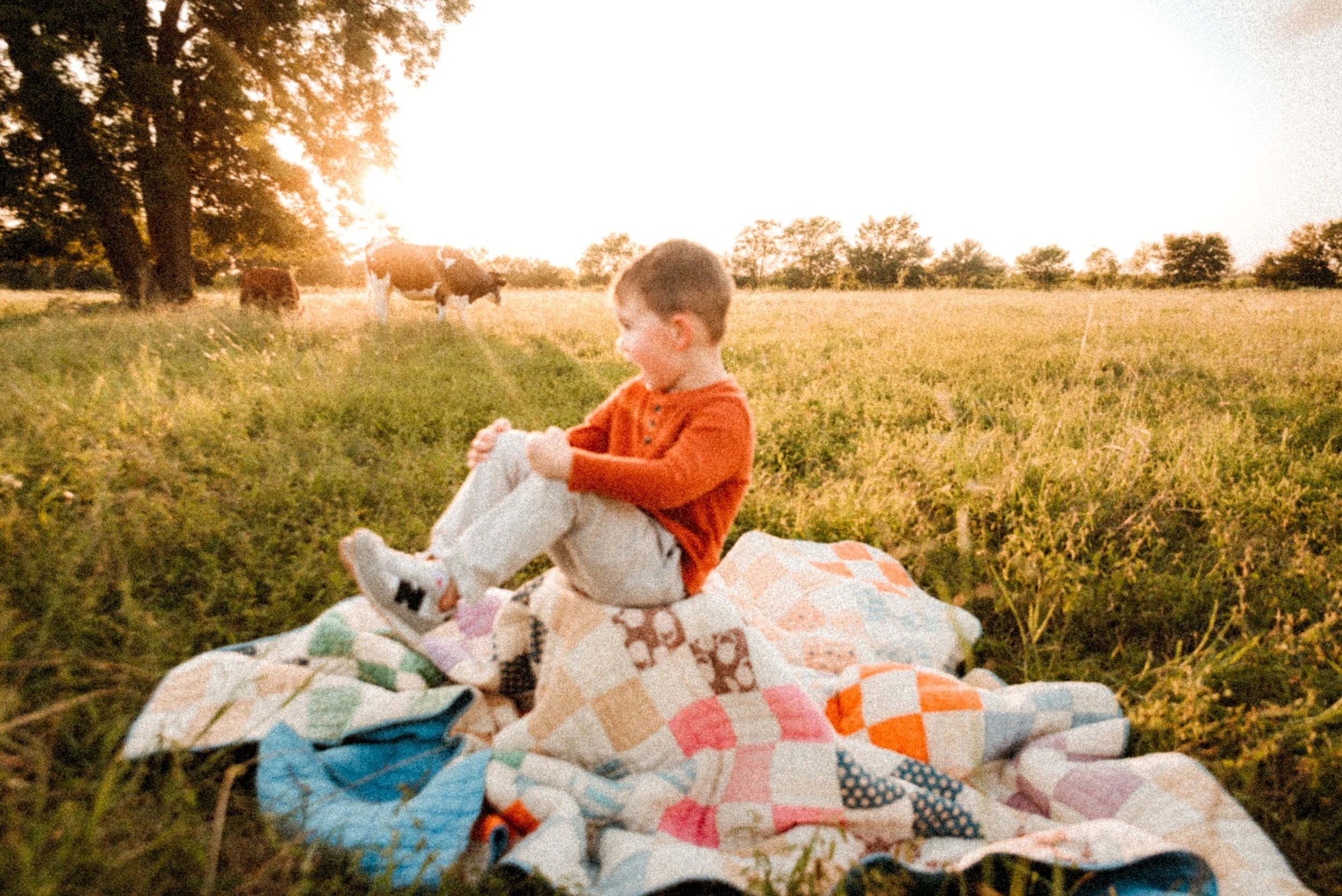 Pierson Farm-322.jpg