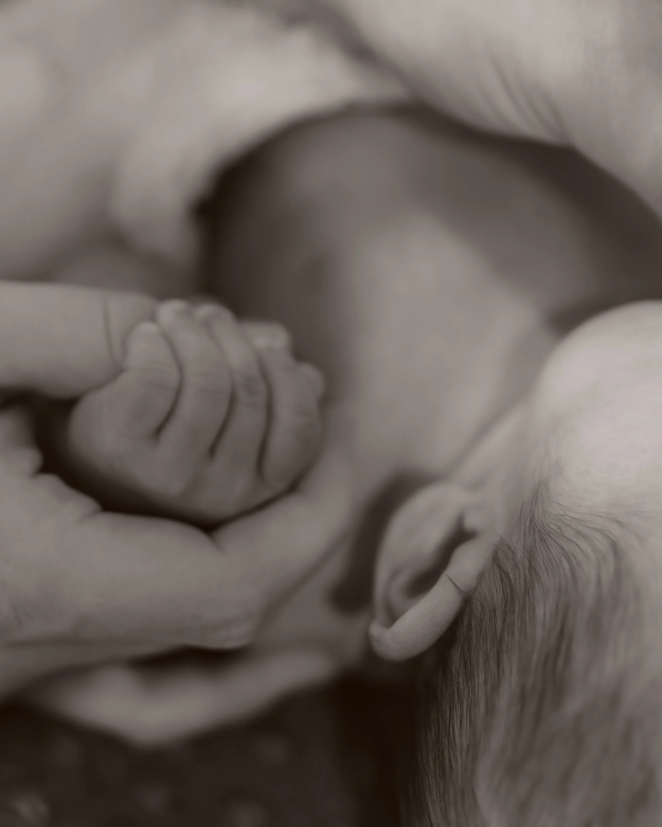 Brady Newborn-238.jpeg
