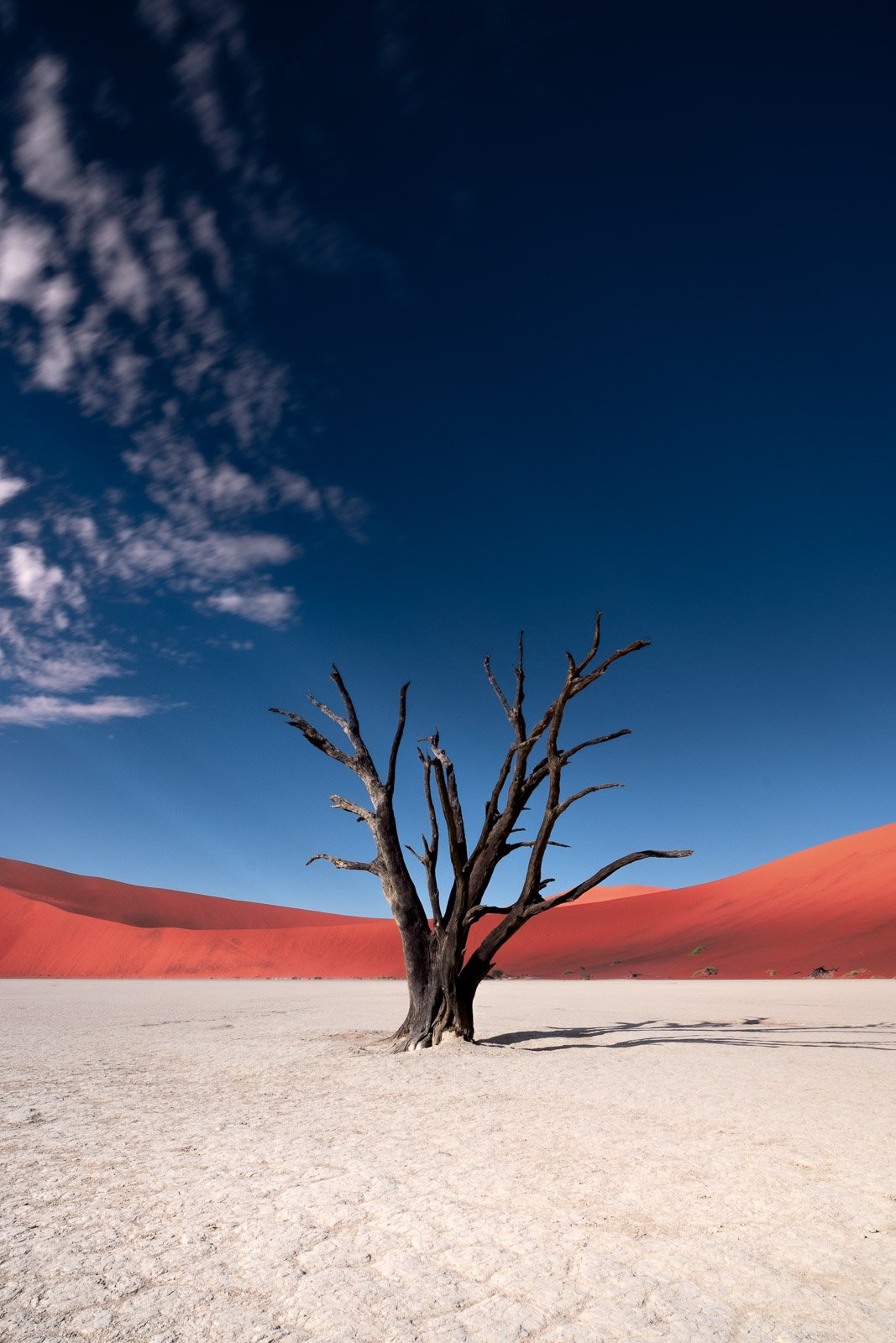 Deadvlei, Namib desert in Namibia